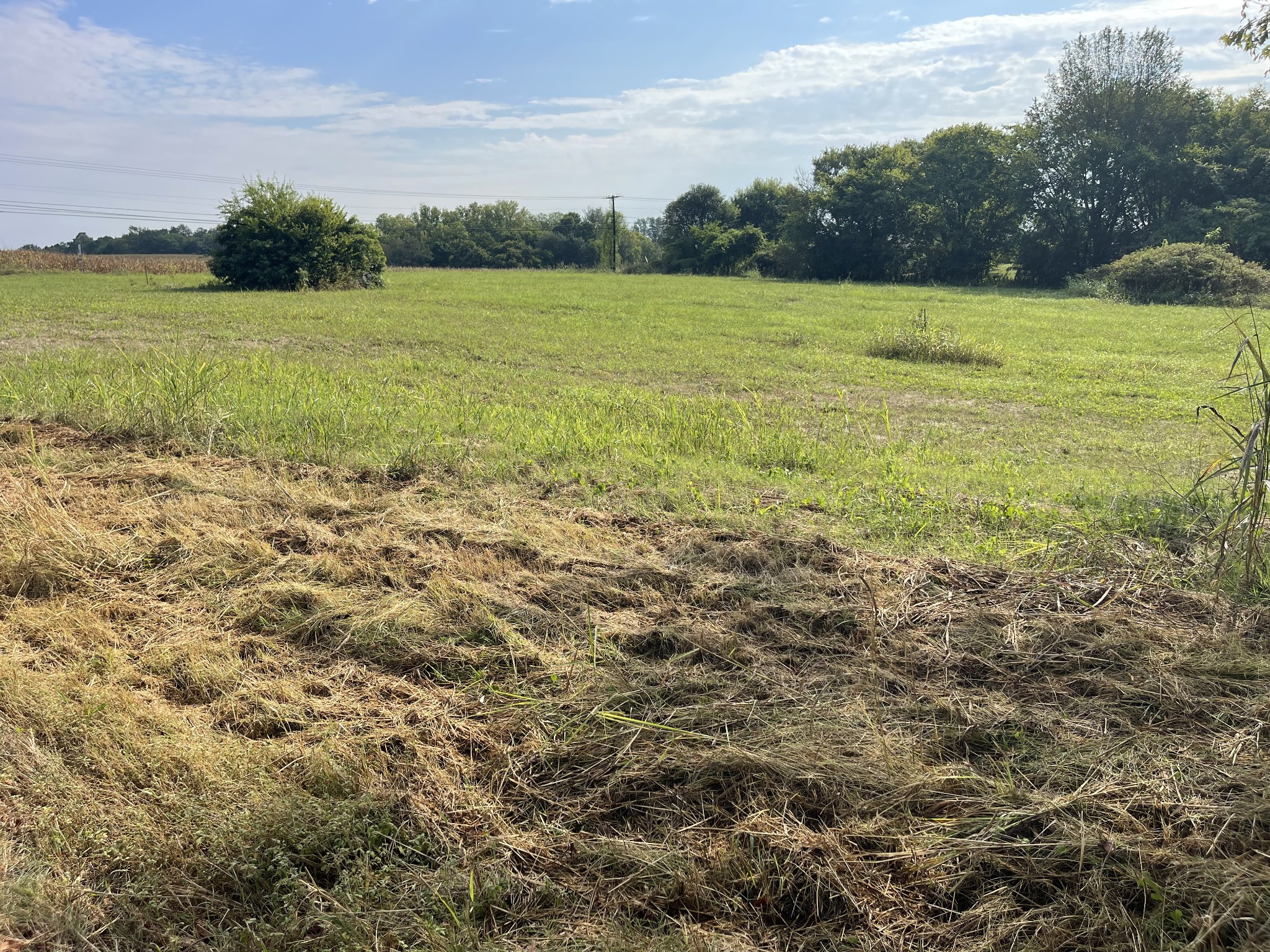 0 Williamsport Pike Property Photo 1