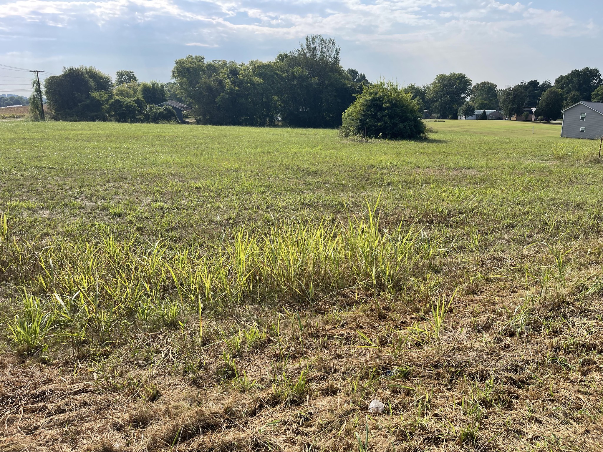 0 Williamsport Pike Property Photo 2