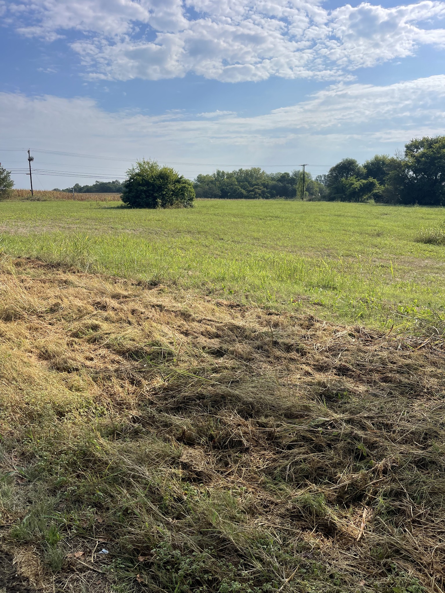 0 Williamsport Pike Property Photo 4