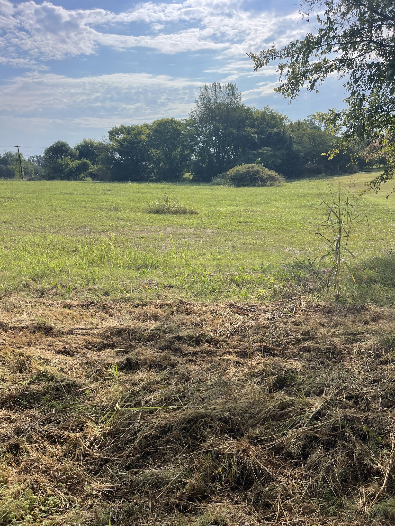 0 Williamsport Pike Property Photo 5