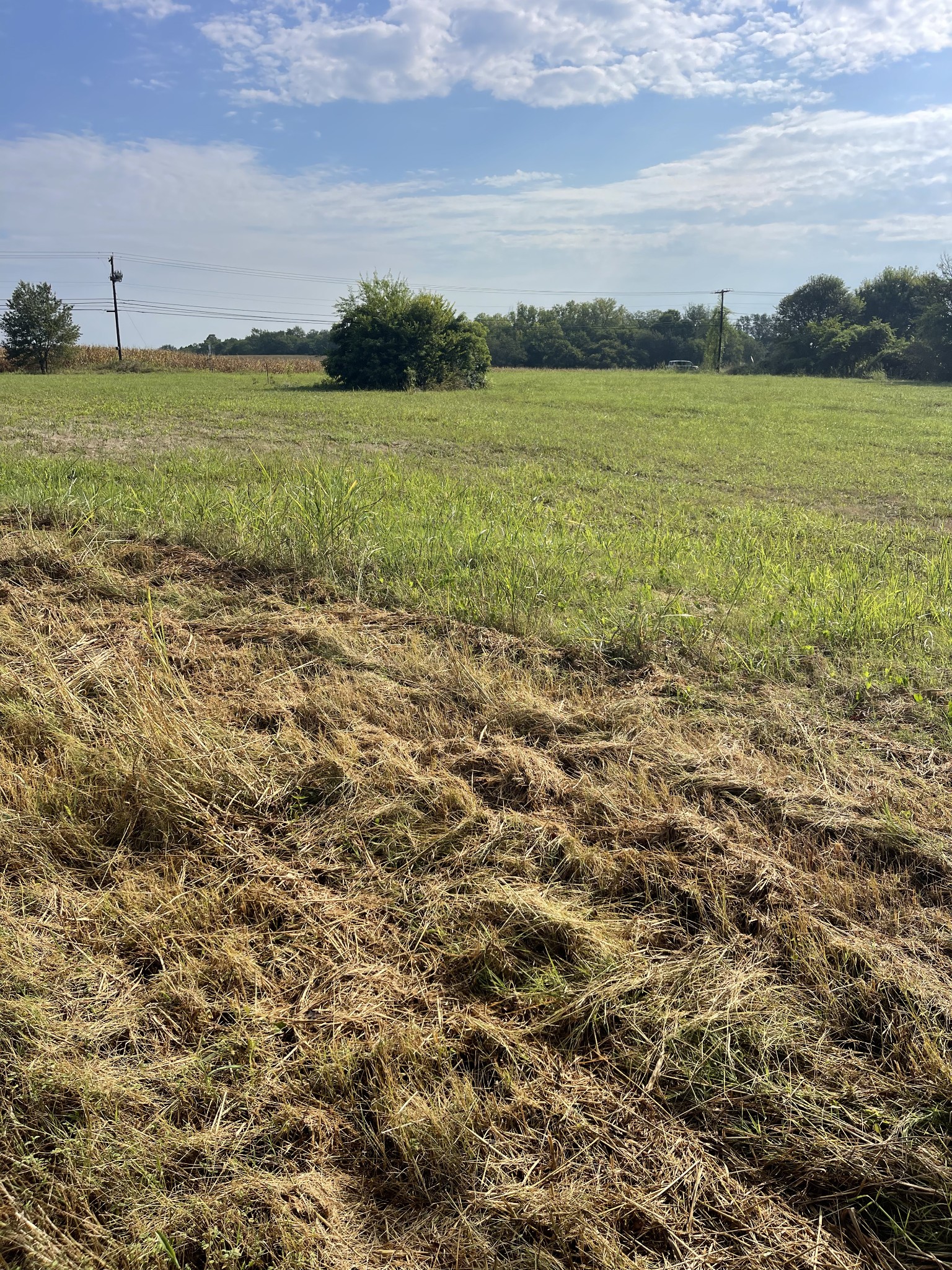 0 Williamsport Pike Property Photo 6