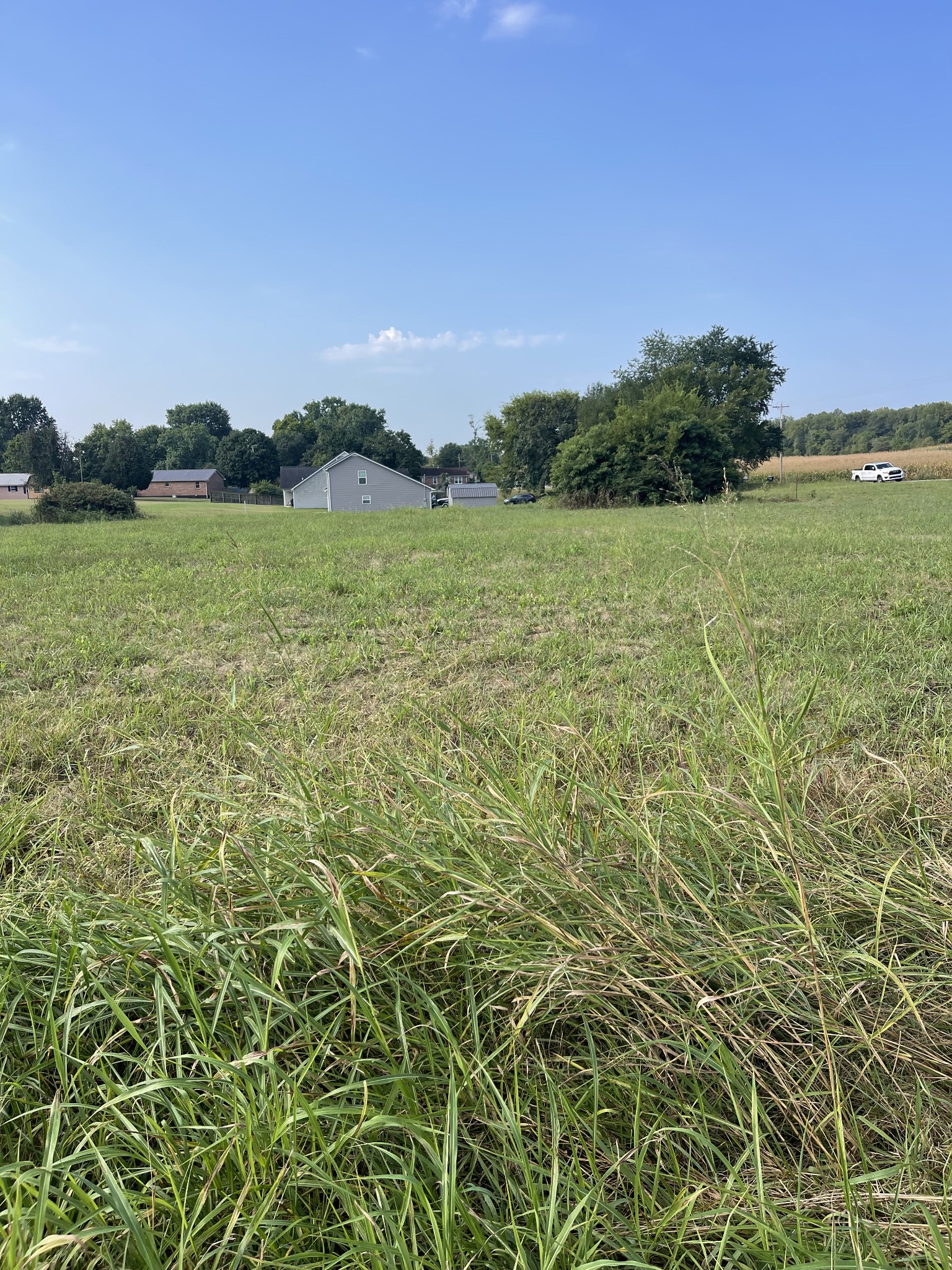 0 Williamsport Pike Property Photo 11