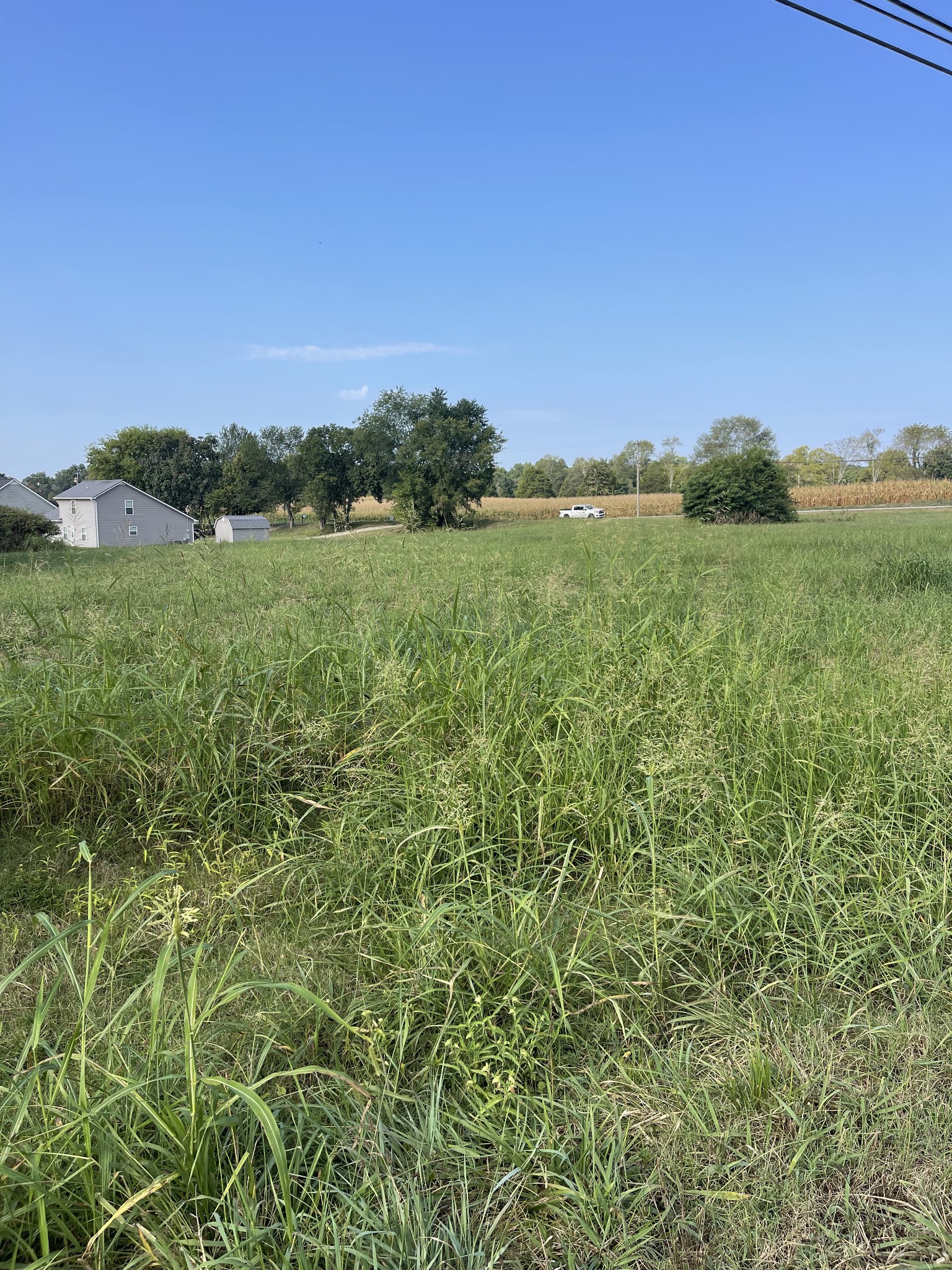 0 Williamsport Pike Property Photo 13