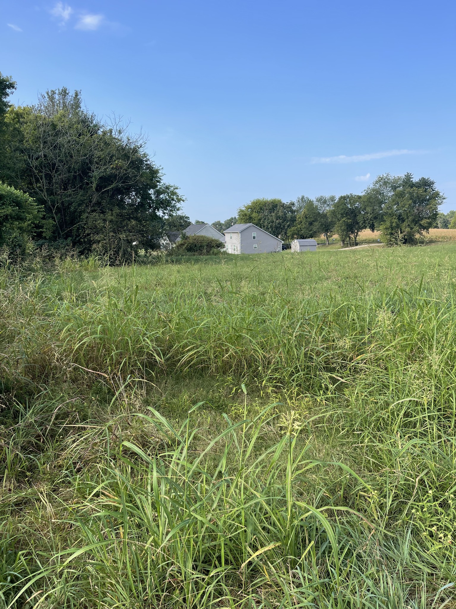 0 Williamsport Pike Property Photo 14