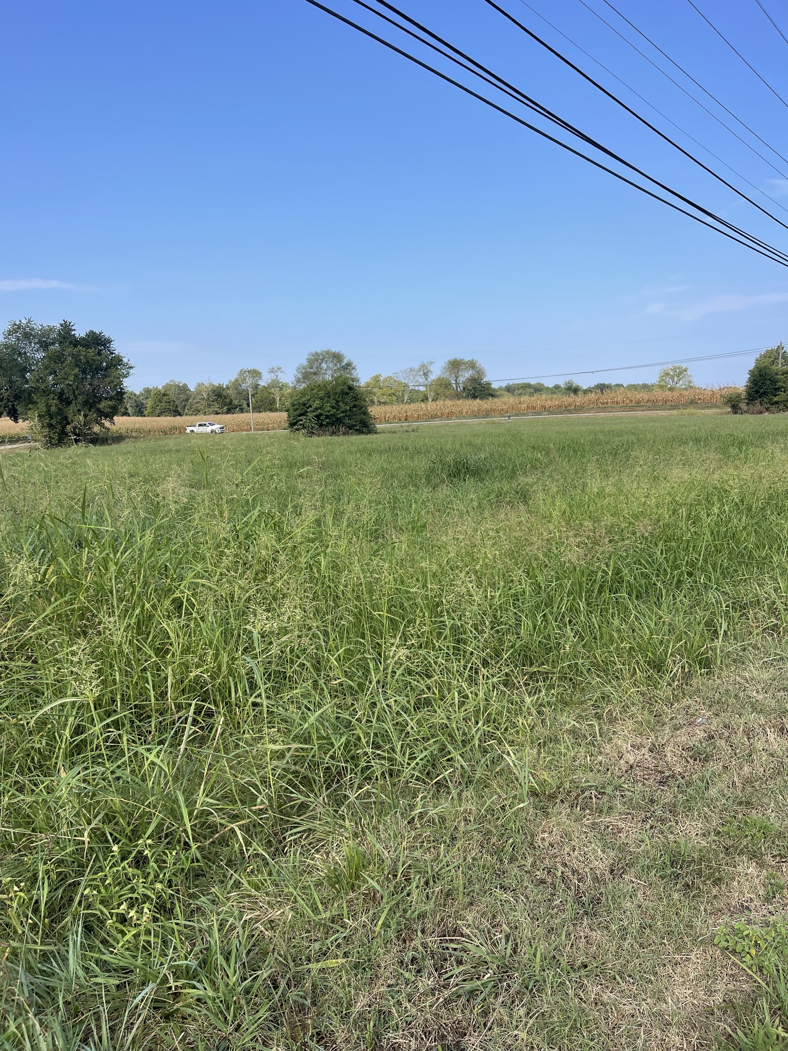 0 Williamsport Pike Property Photo 15