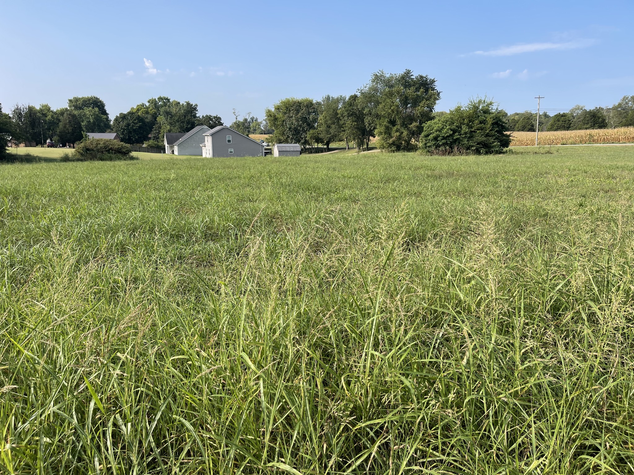 0 Williamsport Pike Property Photo 18