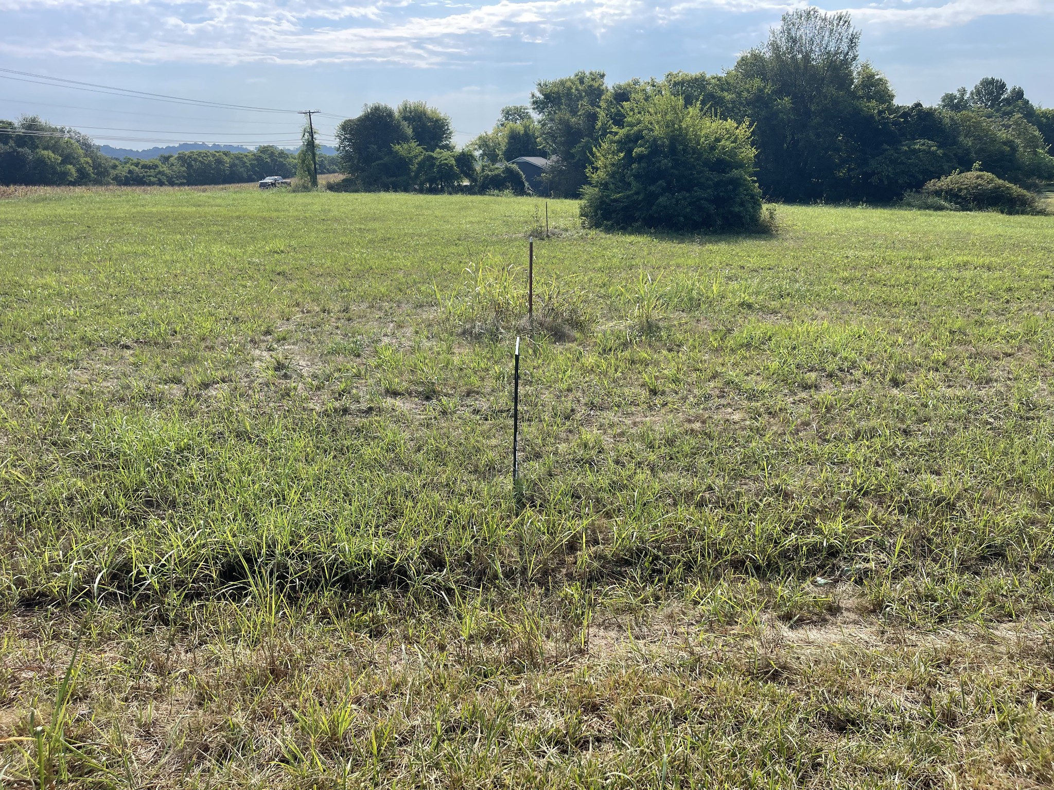 0 Williamsport Pike Property Photo 20