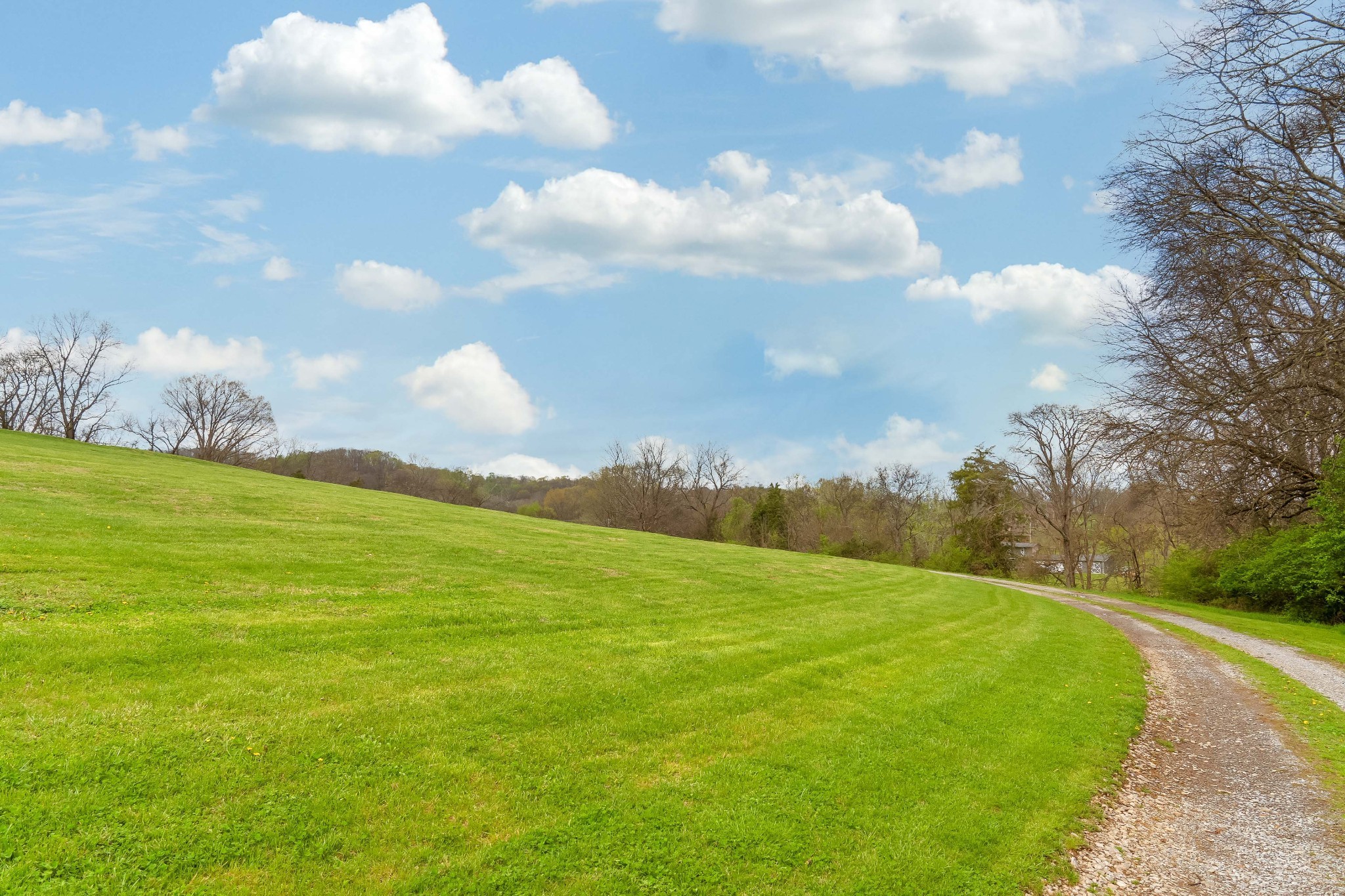 111 Patton Ln Property Photo 9