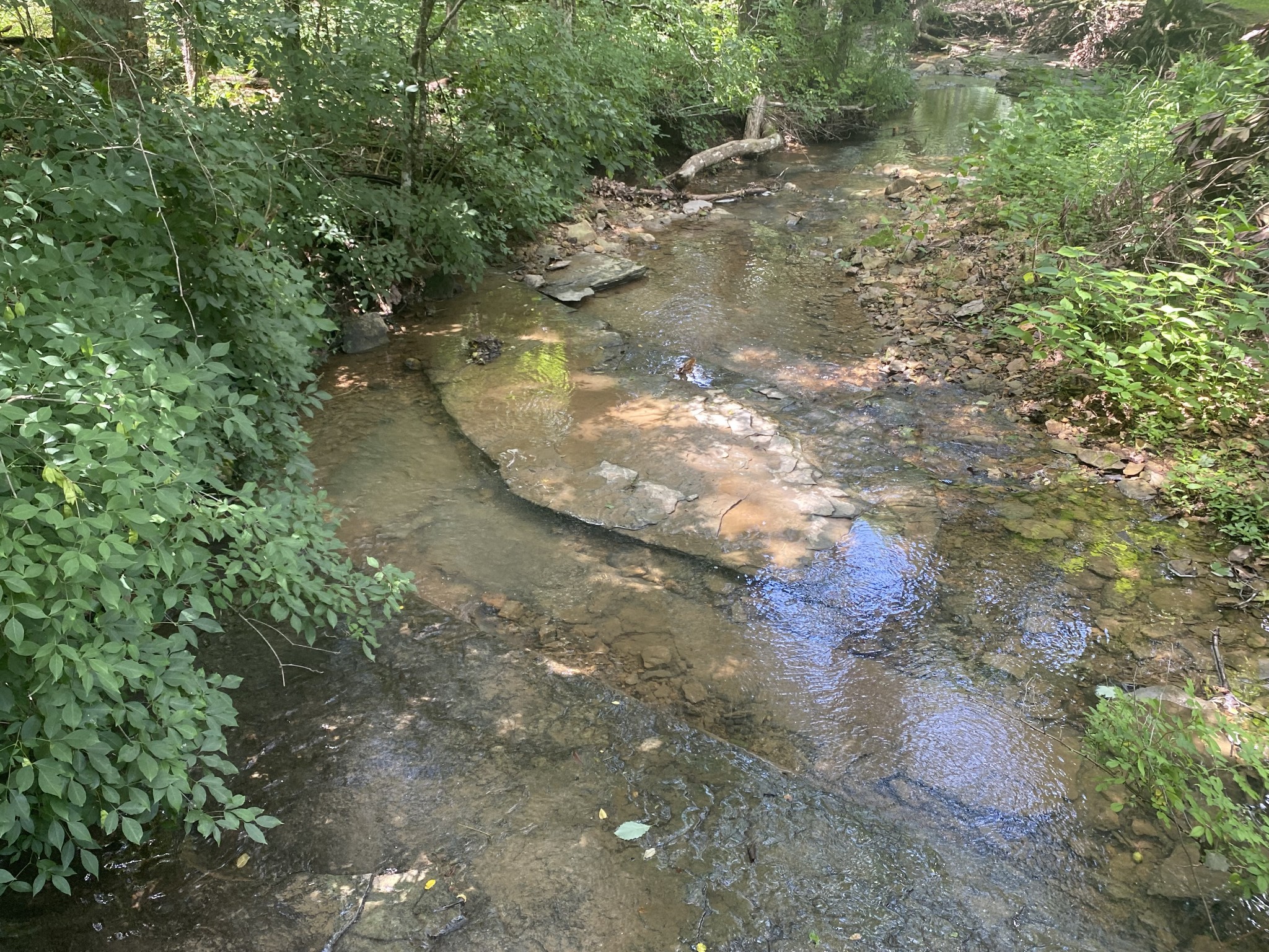 3240 Valley View Ct Property Photo 3