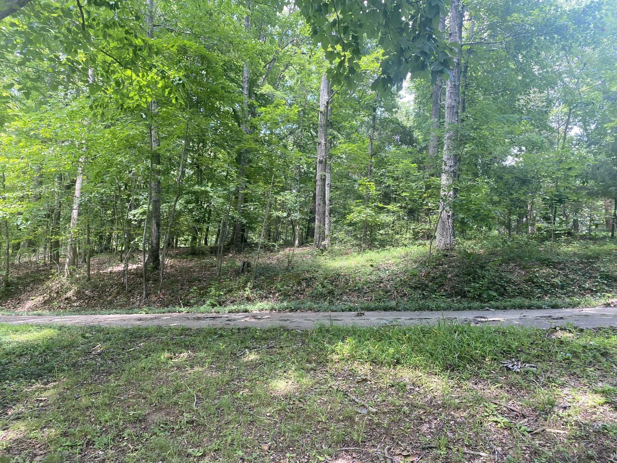 3240 Valley View Ct Property Photo 5