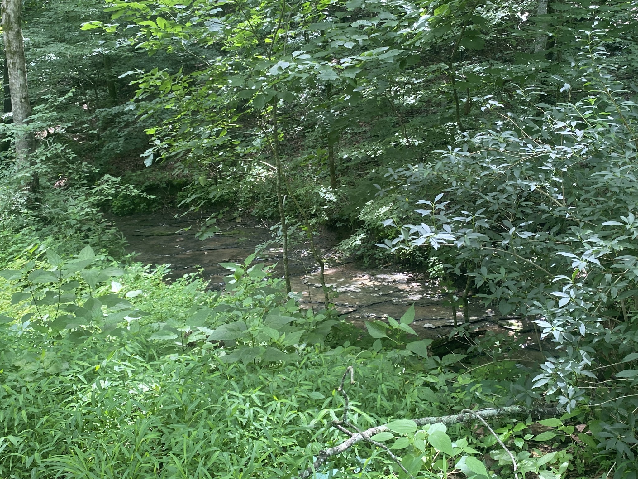 3240 Valley View Ct Property Photo 14