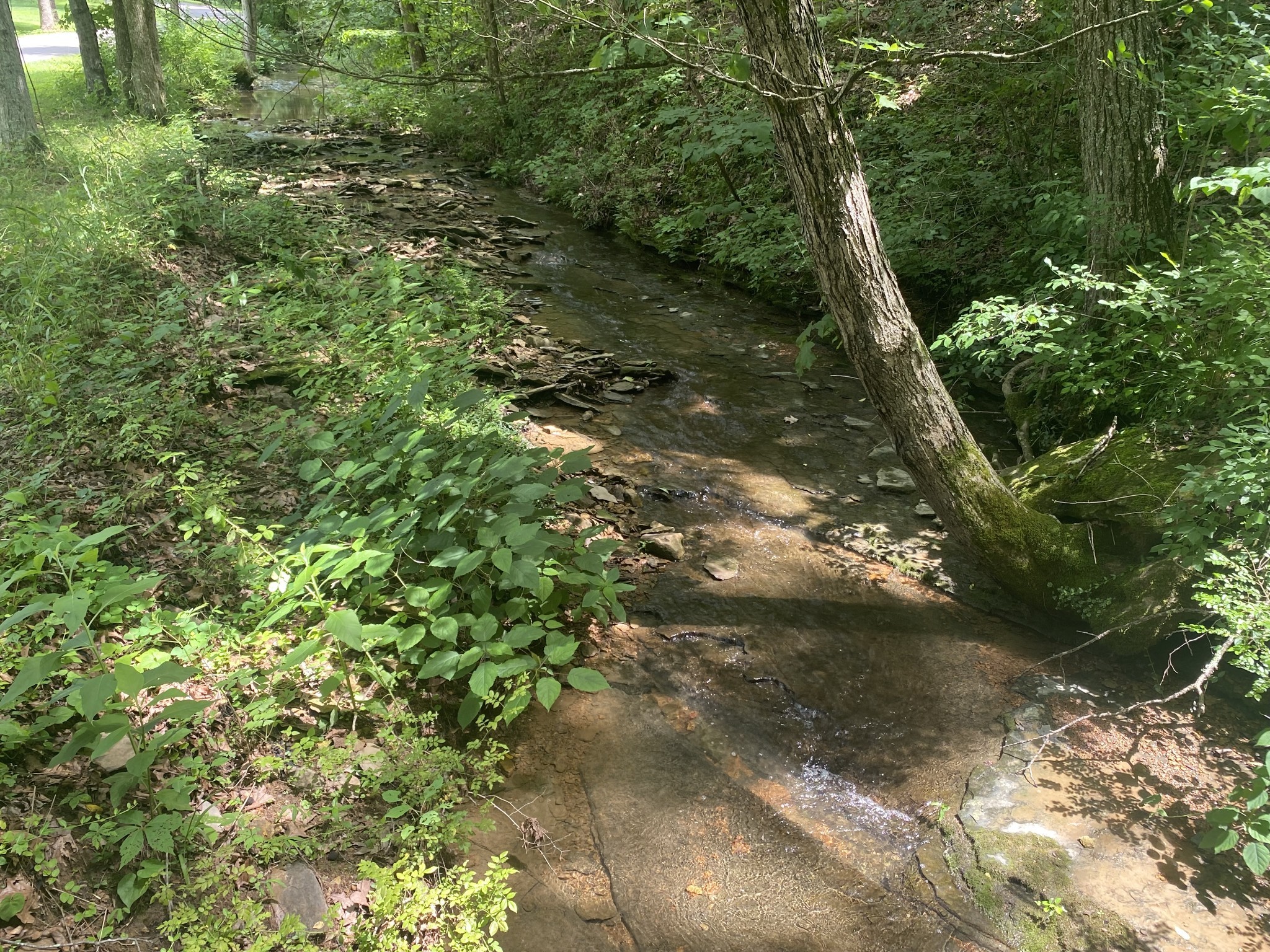 3240 Valley View Ct Property Photo 15