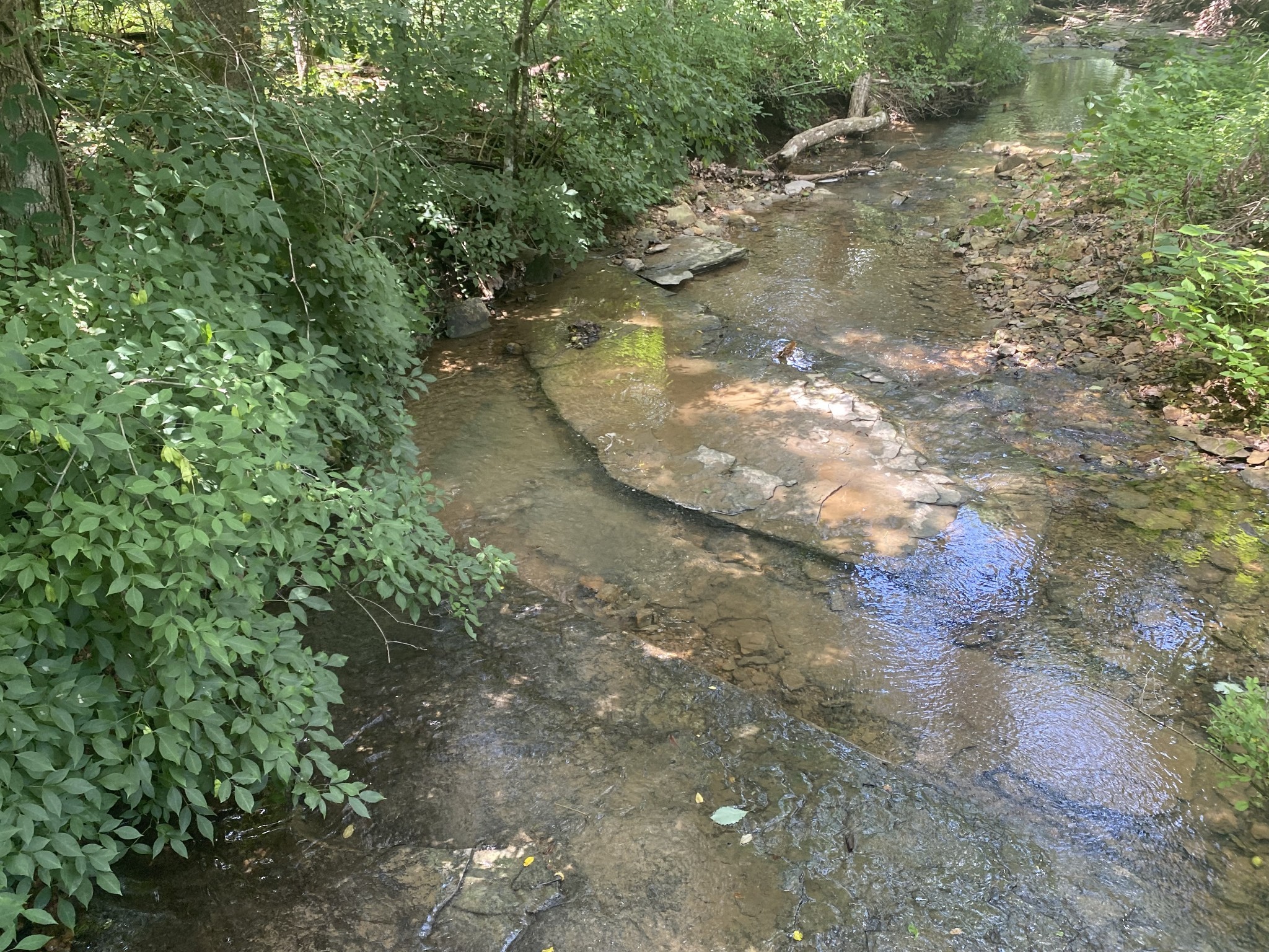 3240 Valley View Ct Property Photo 16