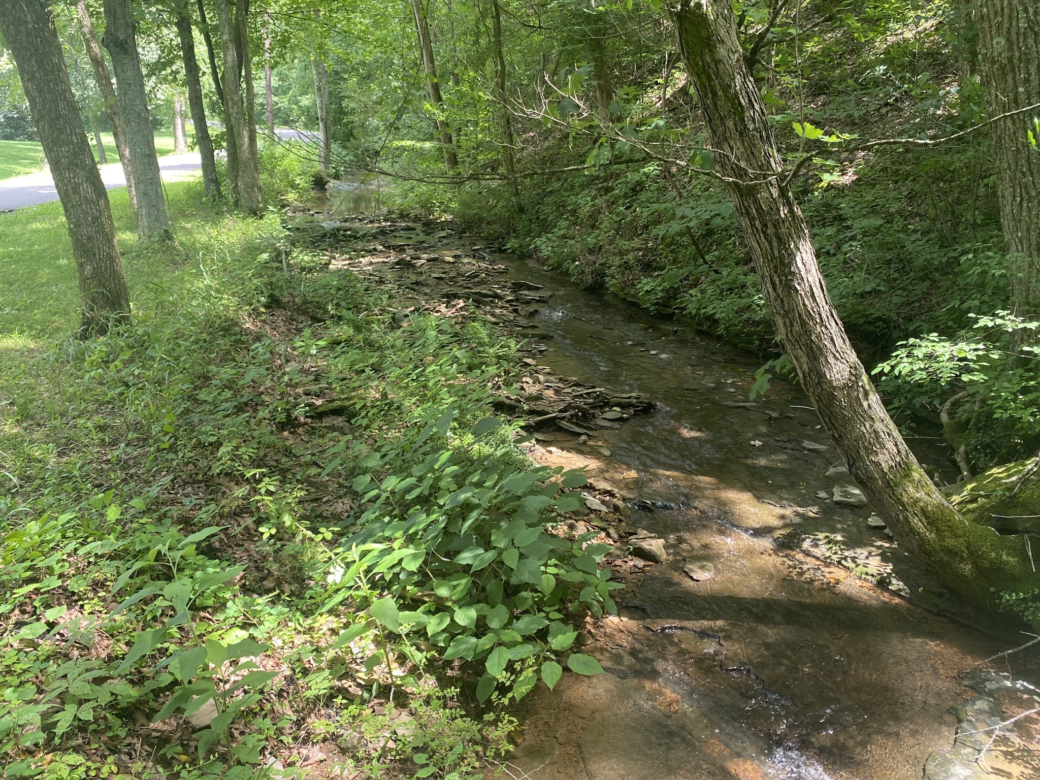 3240 Valley View Ct Property Photo 17