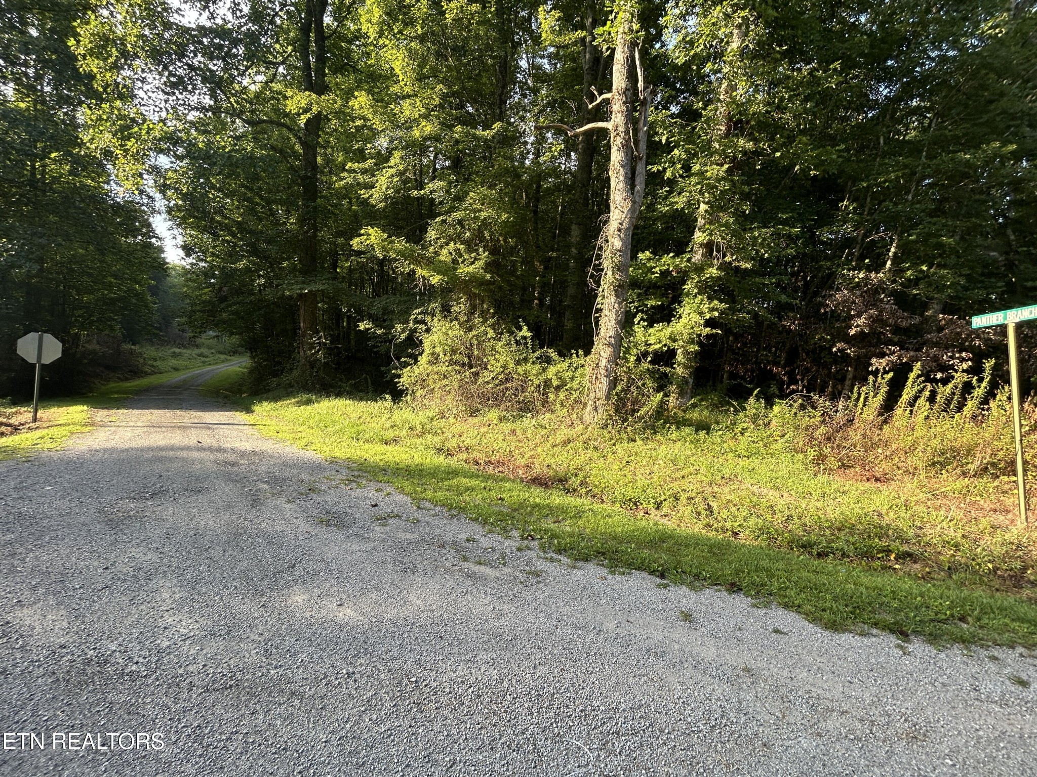 0 Panther Branch Road Property Photo 1