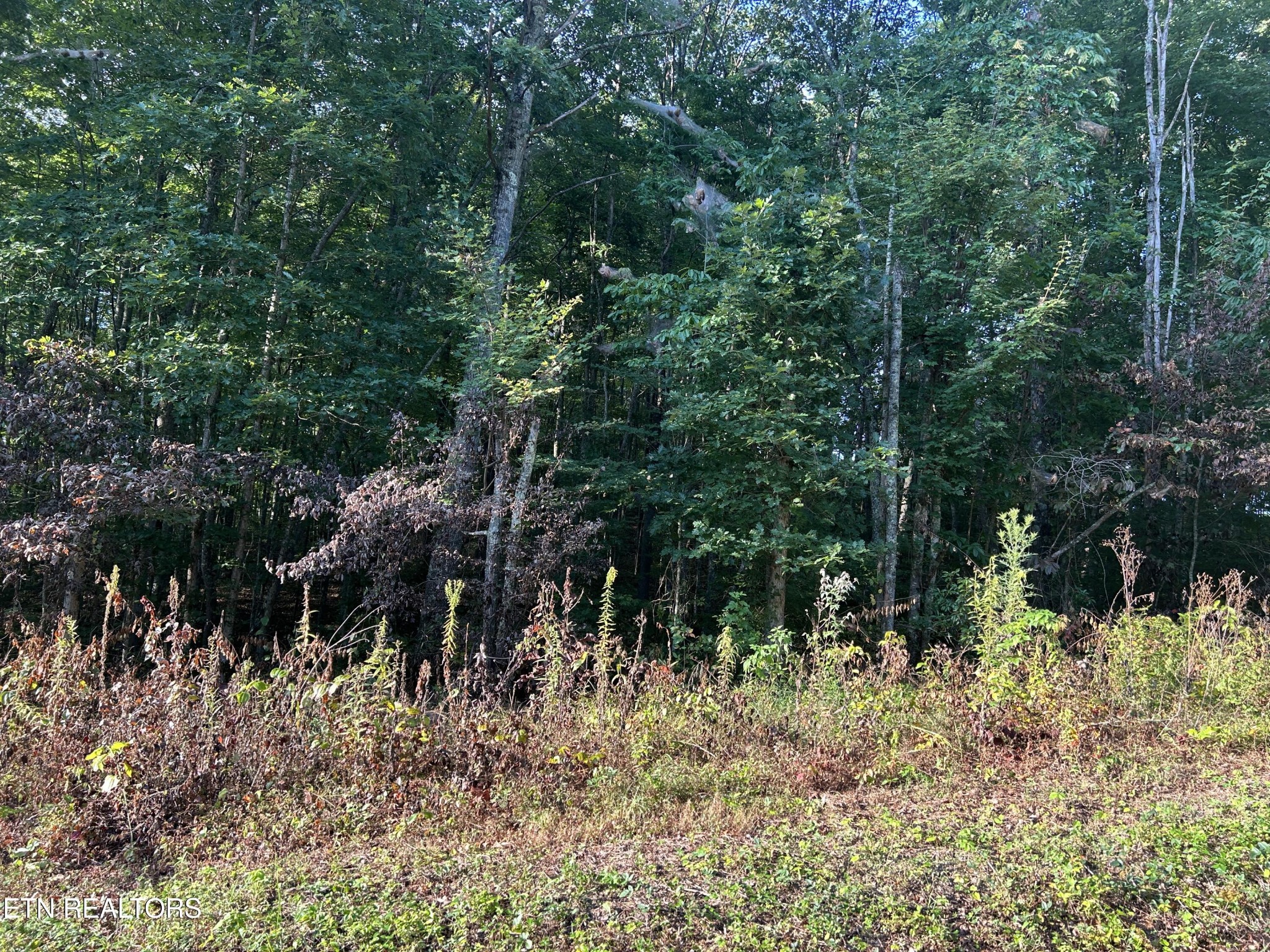 0 Panther Branch Road Property Photo 2
