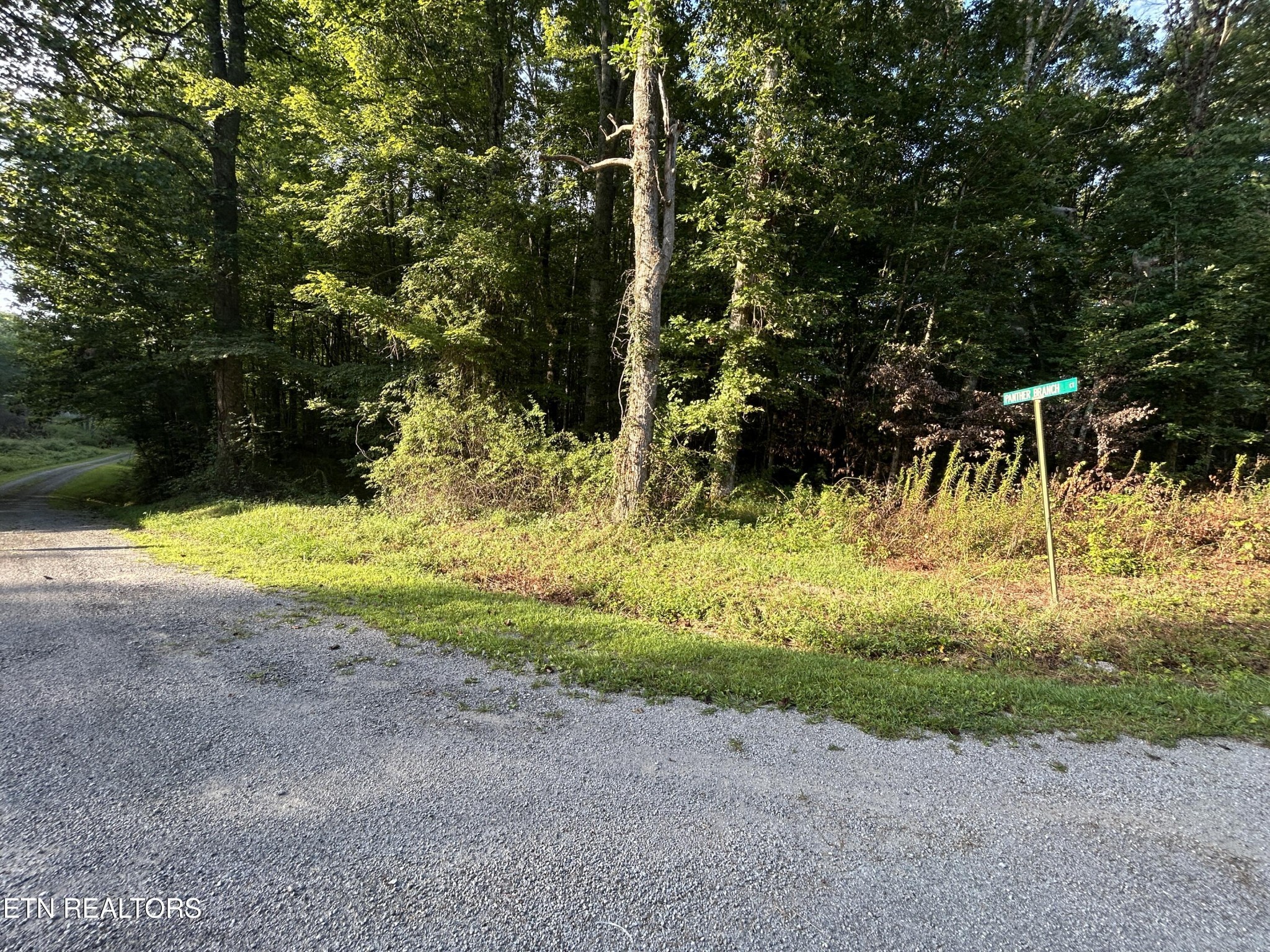 0 Panther Branch Road Property Photo 4