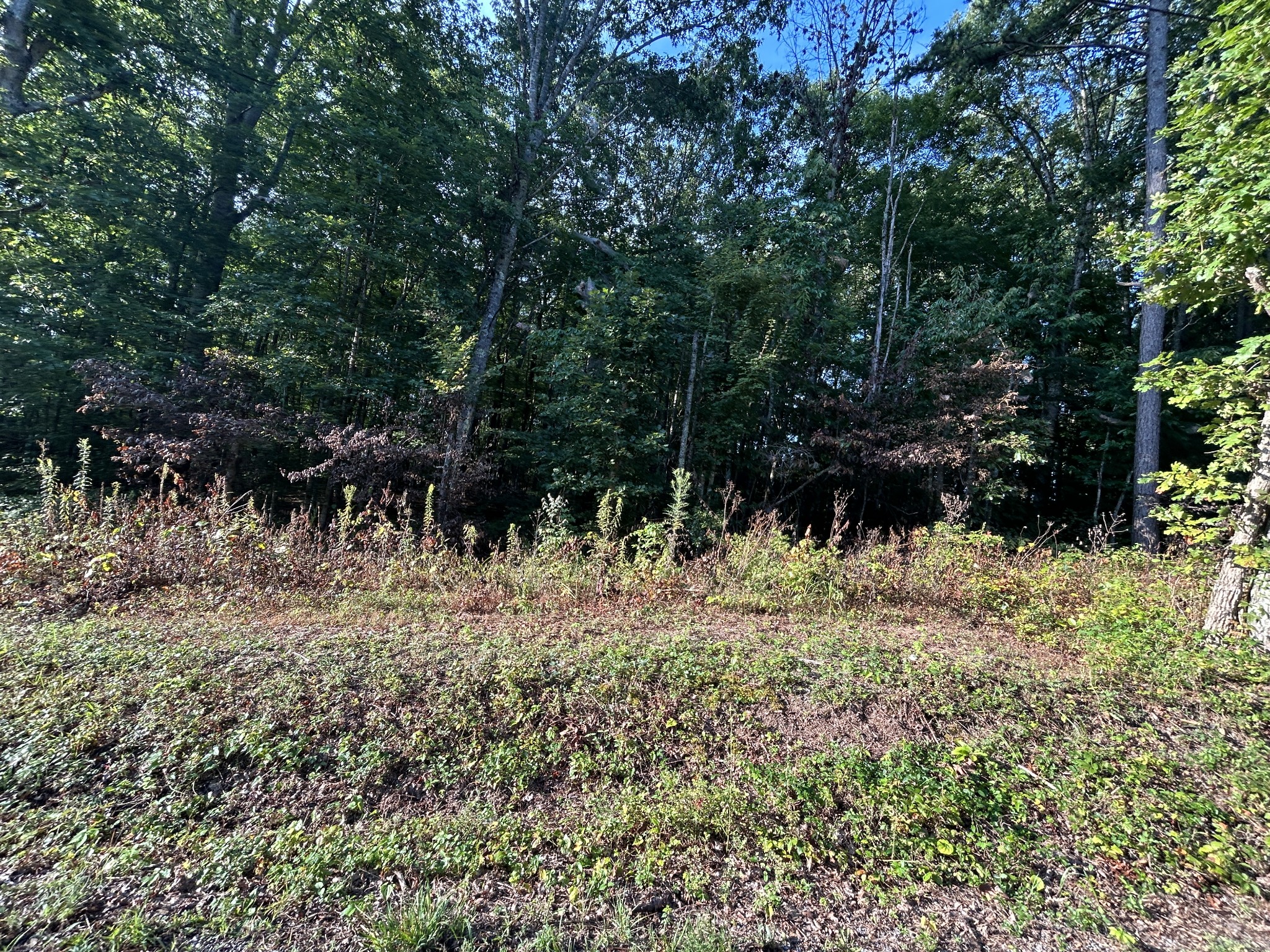 0 Panther Branch Road Property Photo 2