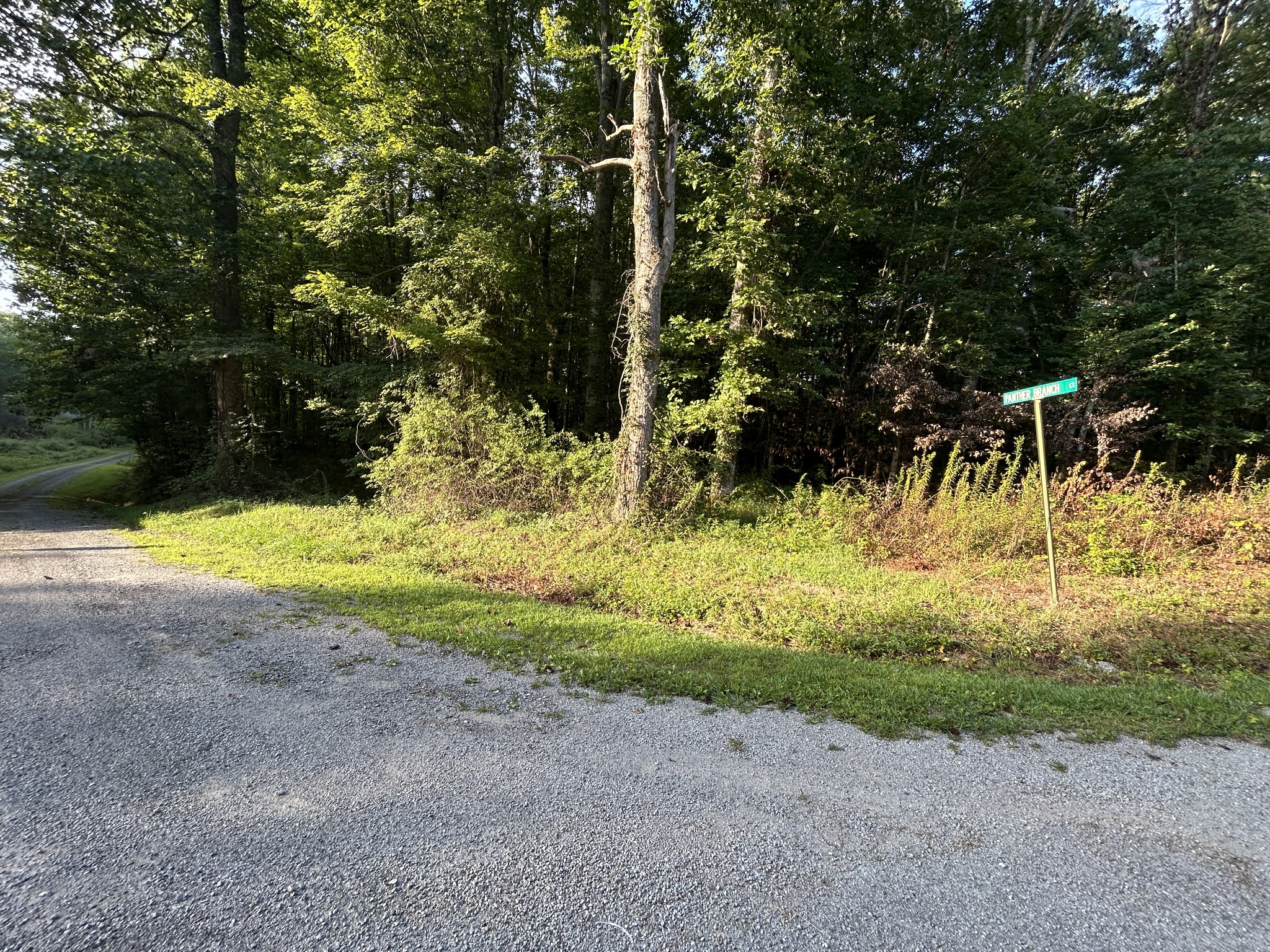 0 Panther Branch Road Property Photo 3