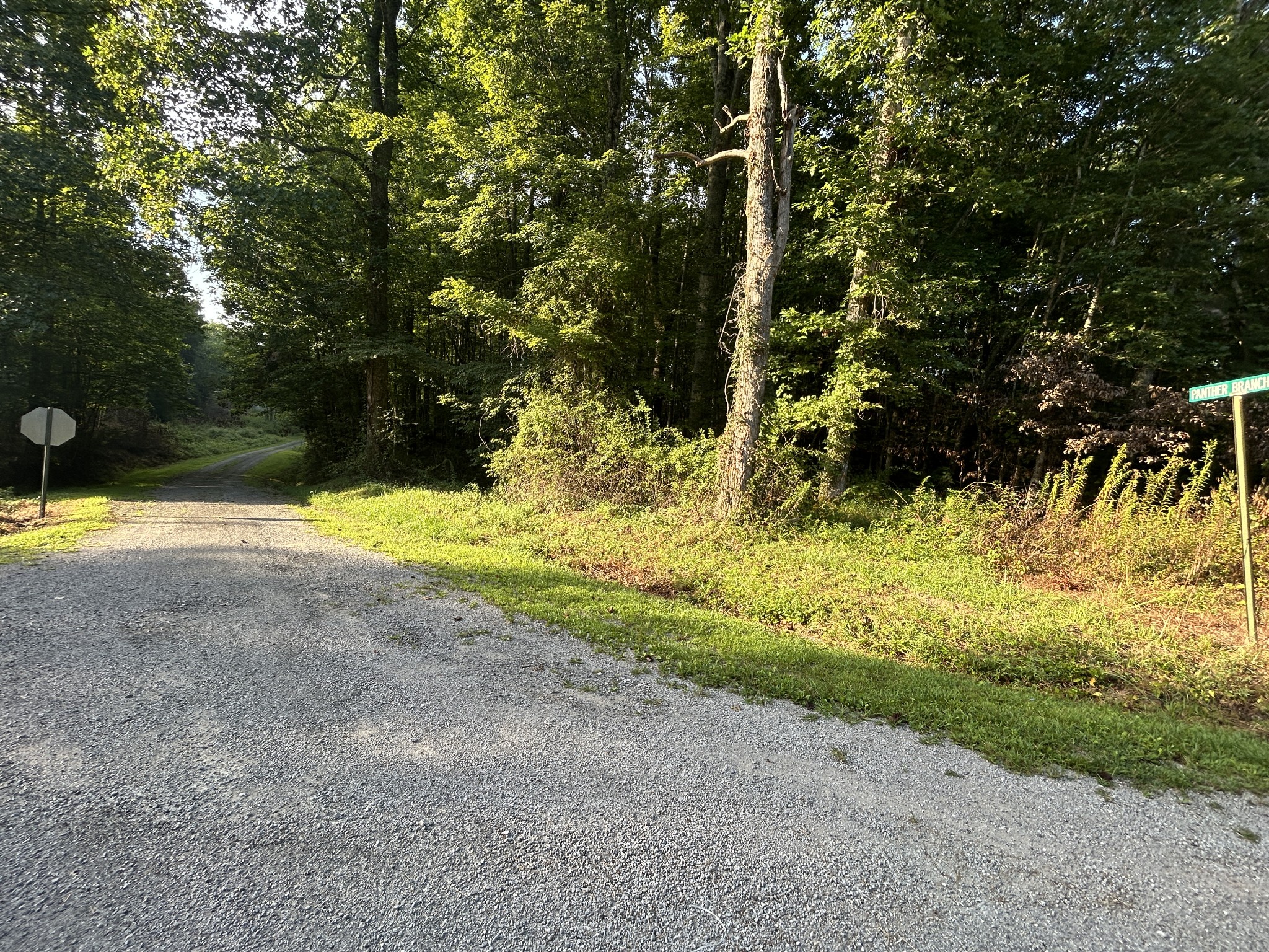 0 Panther Branch Road Property Photo 4