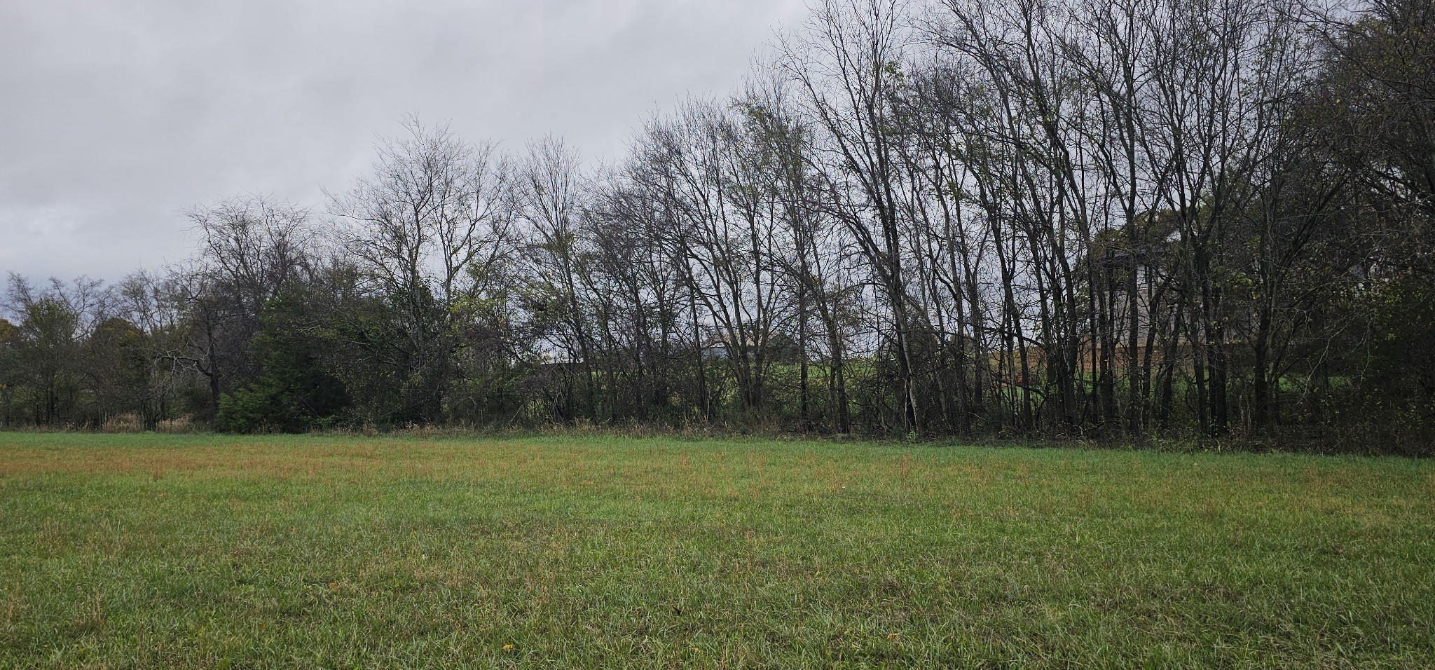 0 Hills Trace Rd Property Photo 5