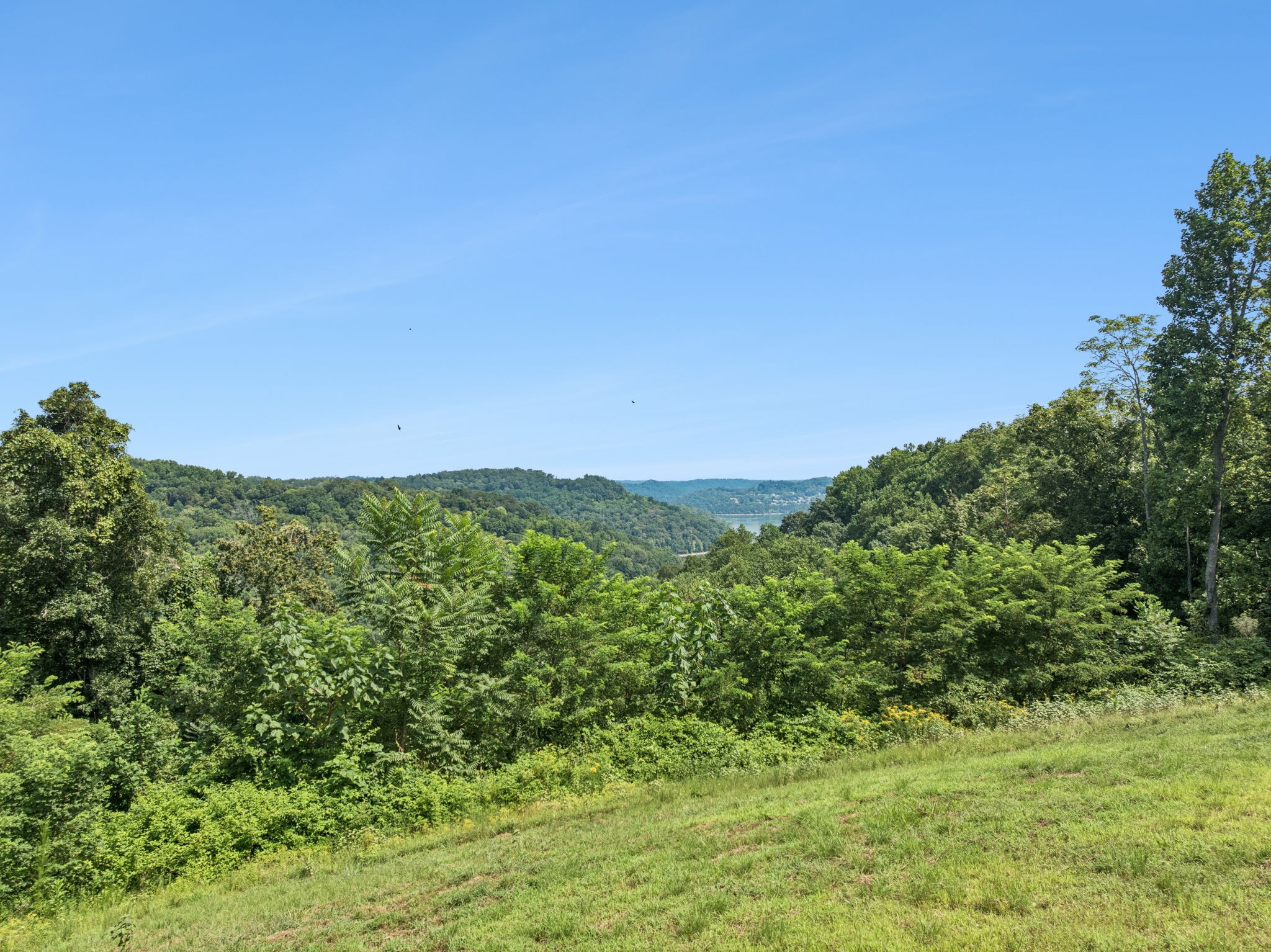 1057 Yulanda Hills Rd Property Photo 2