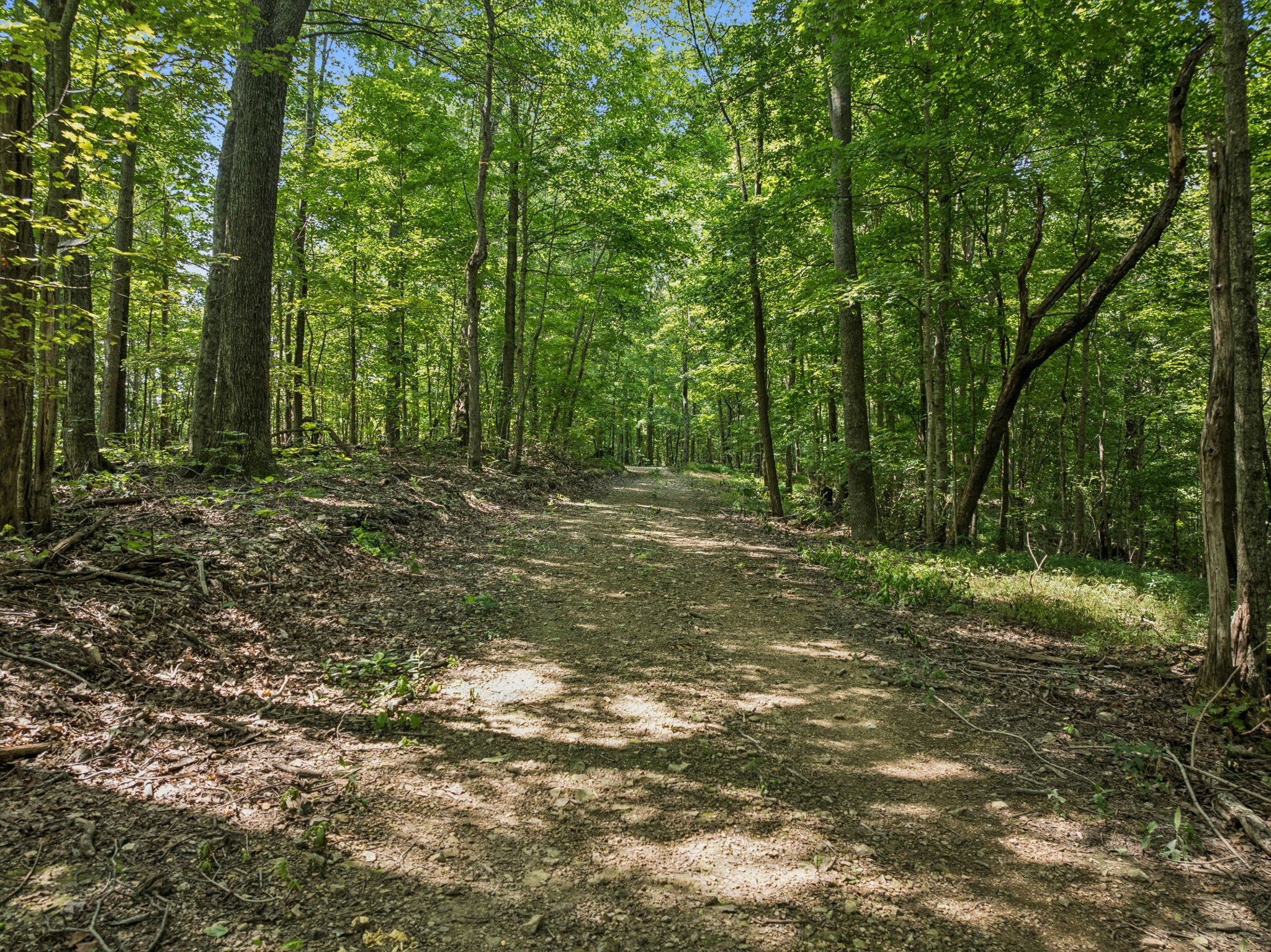 1057 Yulanda Hills Rd Property Photo 31