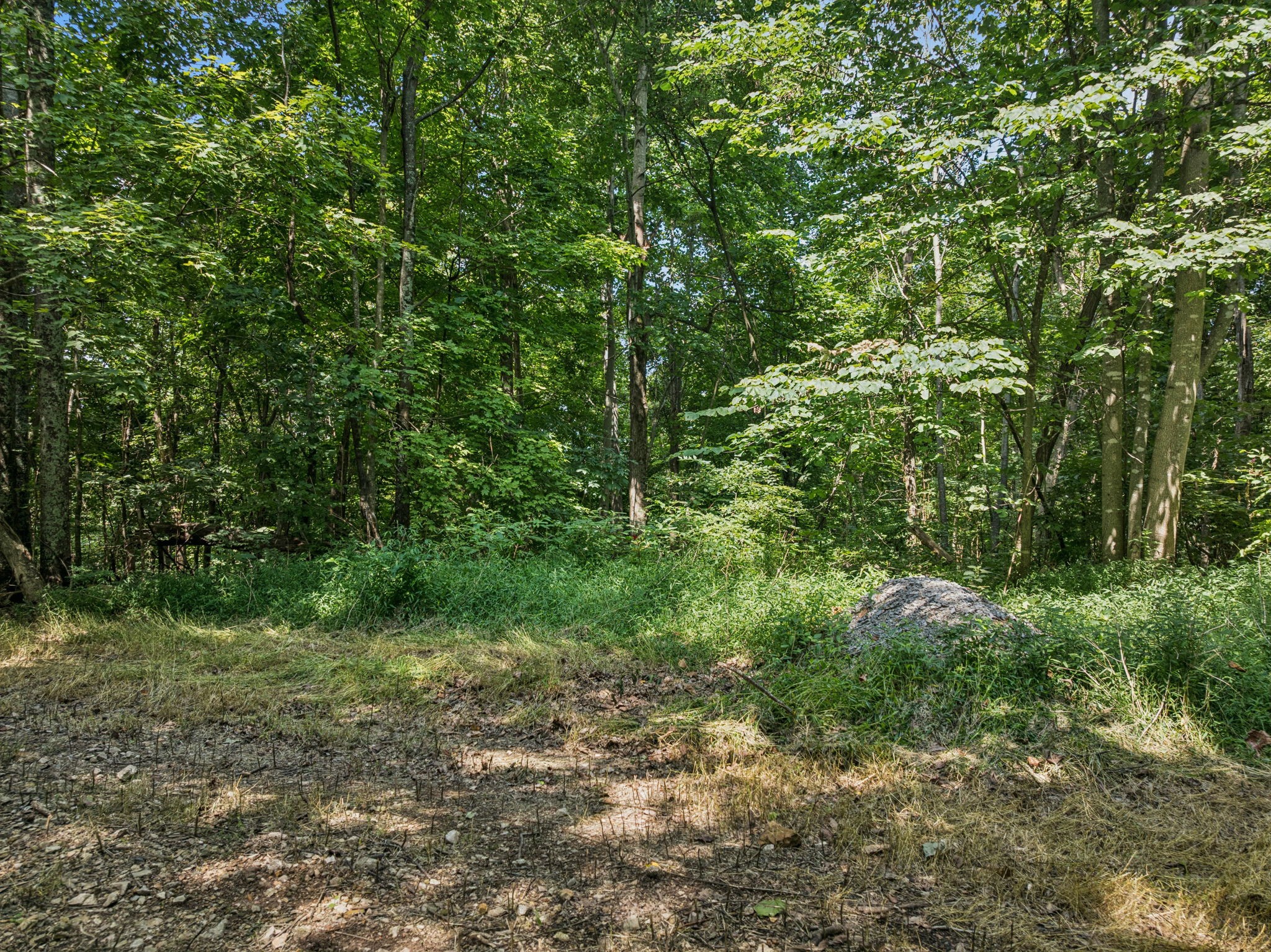 1057 Yulanda Hills Rd Property Photo 32