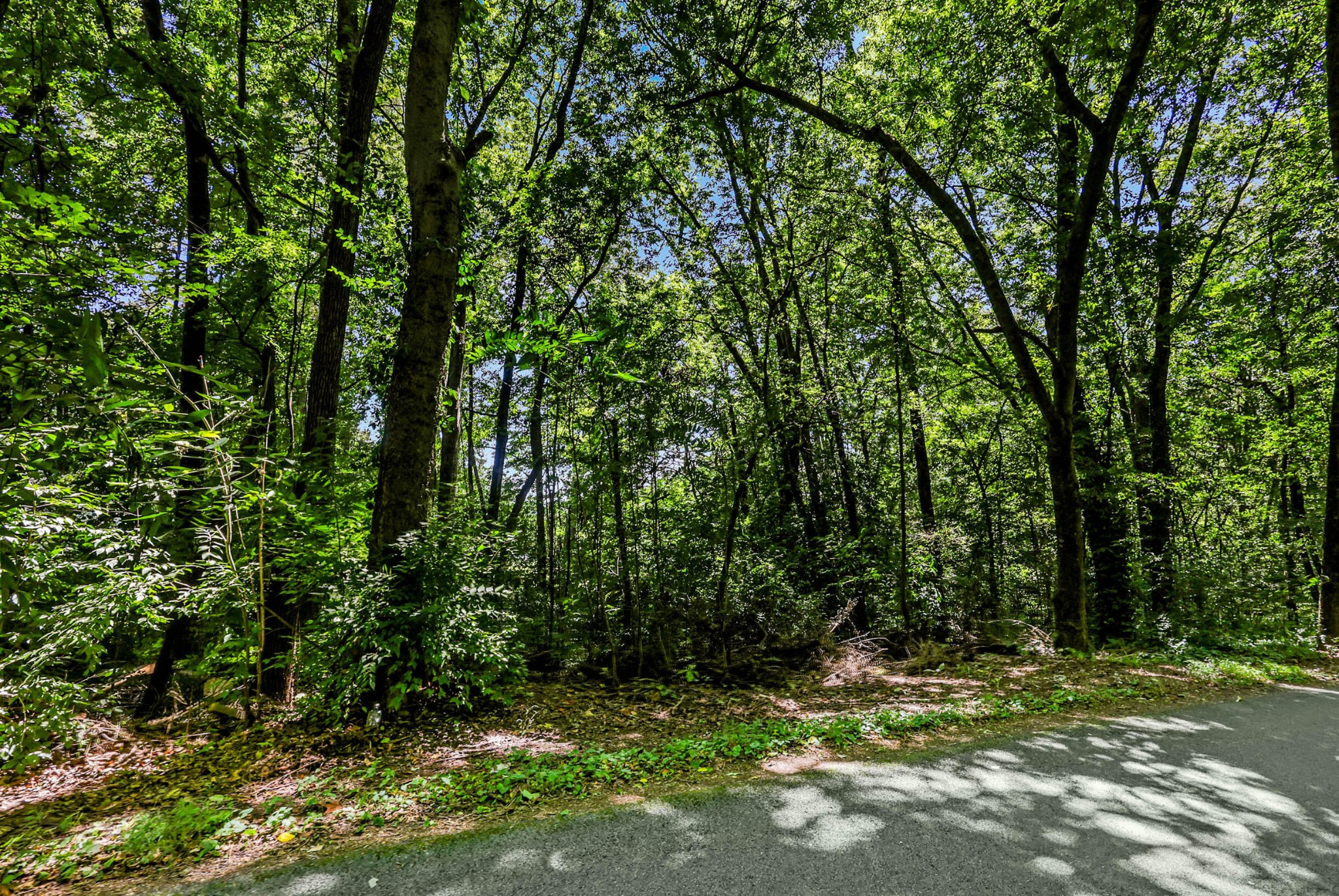 0 Old Tasso Place, Ne Property Photo 1