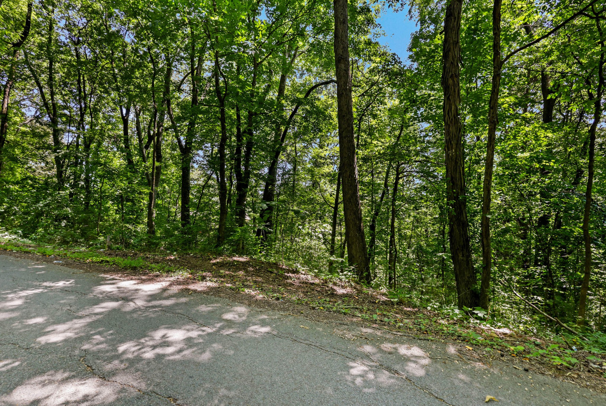 0 Old Tasso Place, Ne Property Photo 2