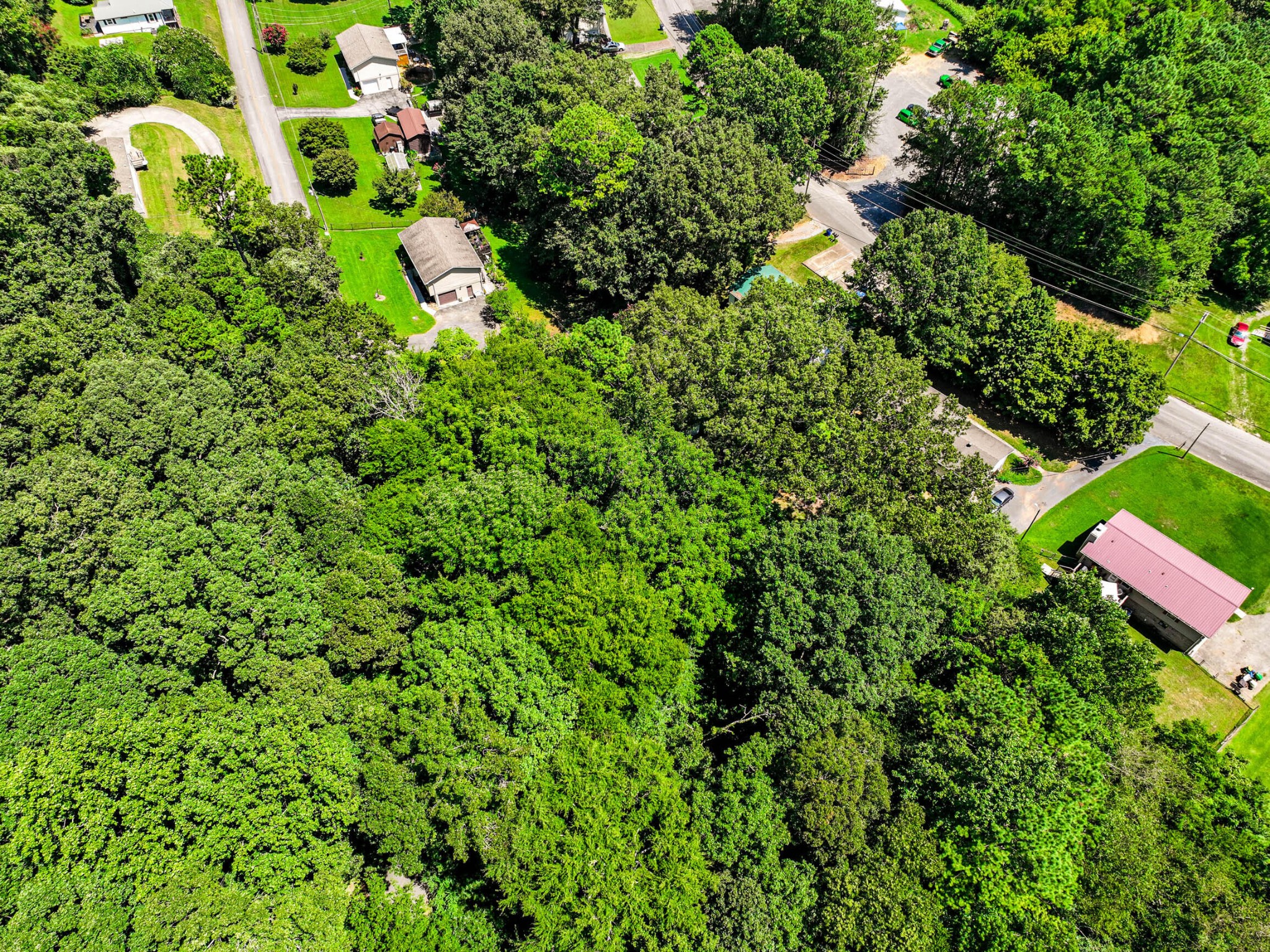 0 Old Tasso Place, Ne Property Photo 5