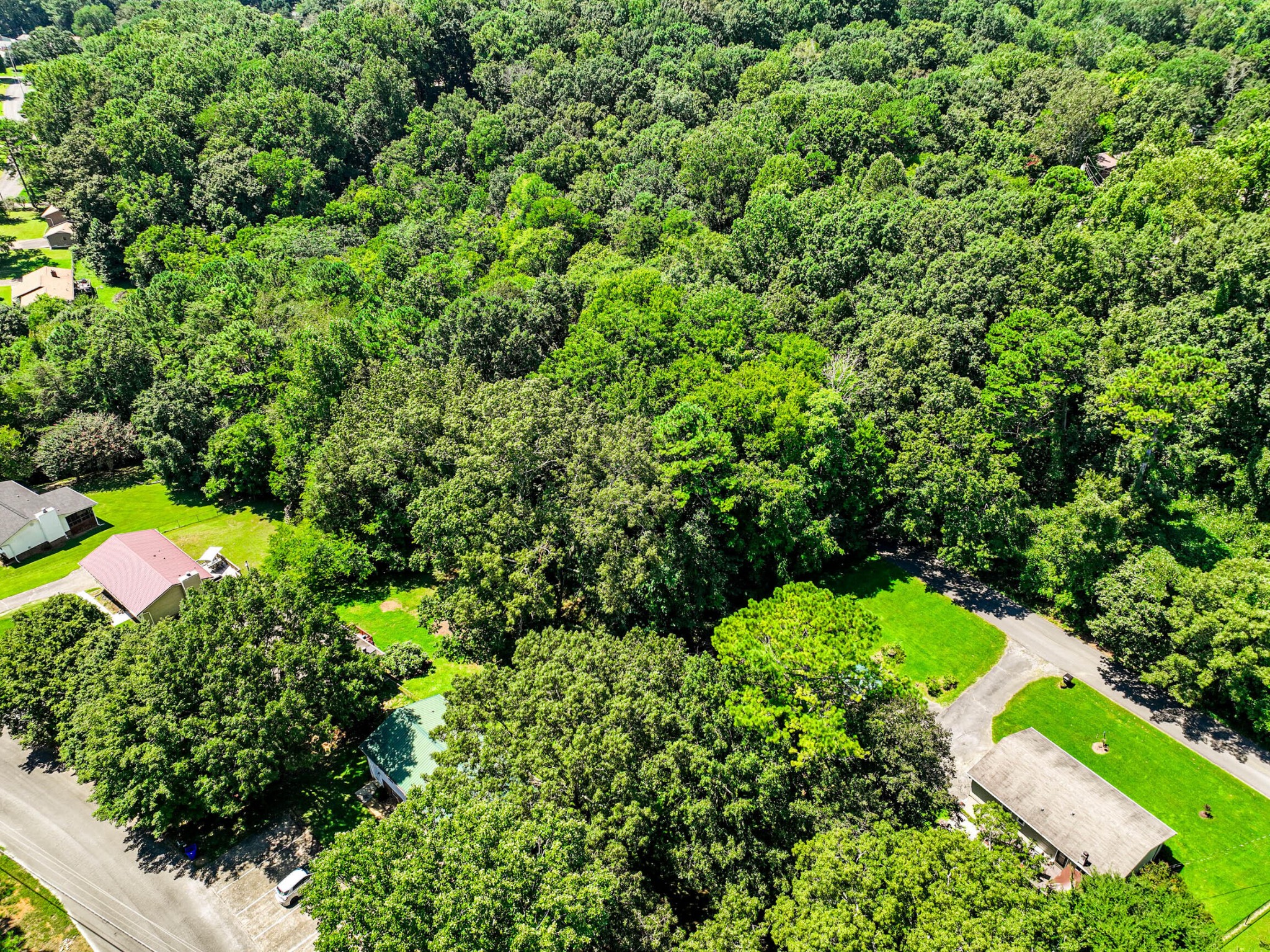 0 Old Tasso Place, Ne Property Photo 7