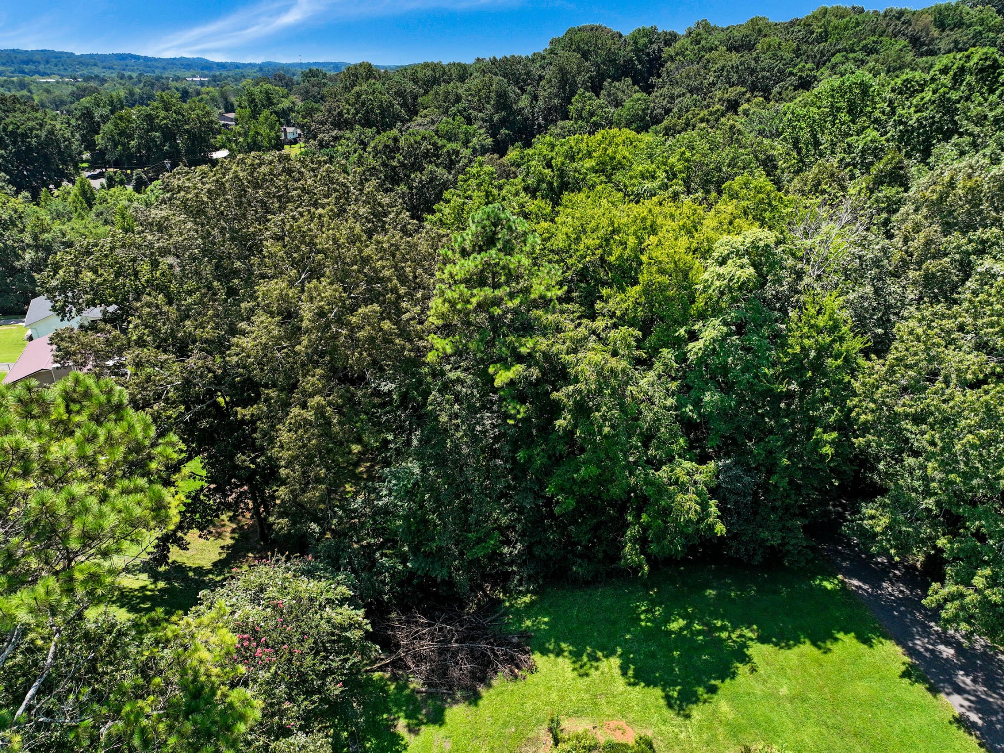 0 Old Tasso Place, Ne Property Photo 9