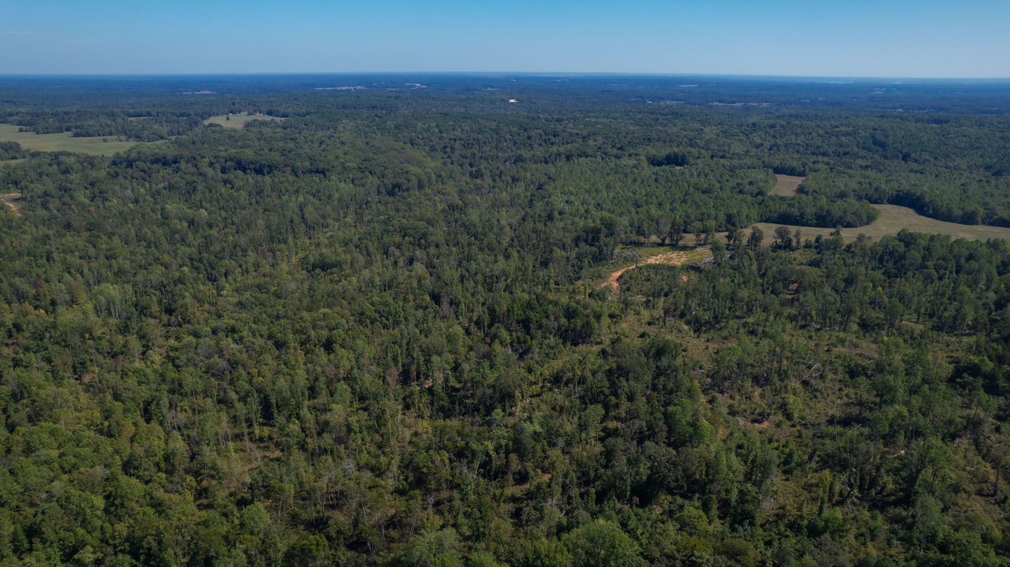 0 Old Paris Murray Rd Property Photo 3