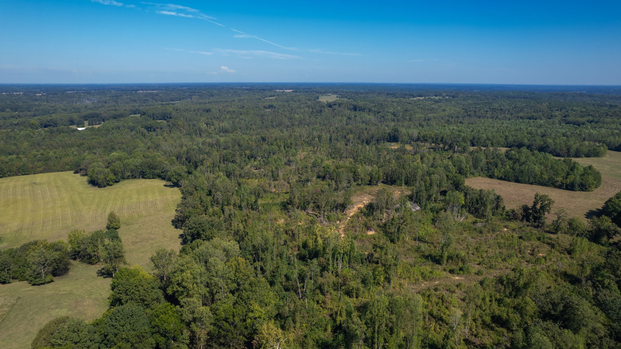 0 Old Paris Murray Rd Property Photo 4