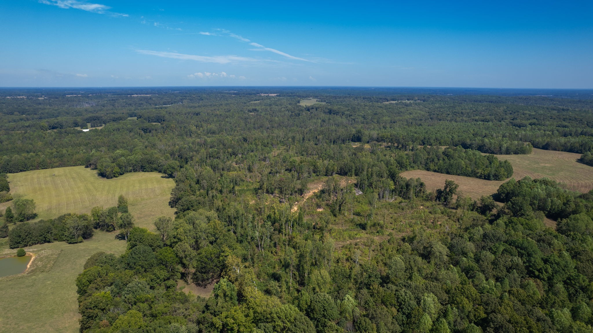 0 Old Paris Murray Rd Property Photo 5