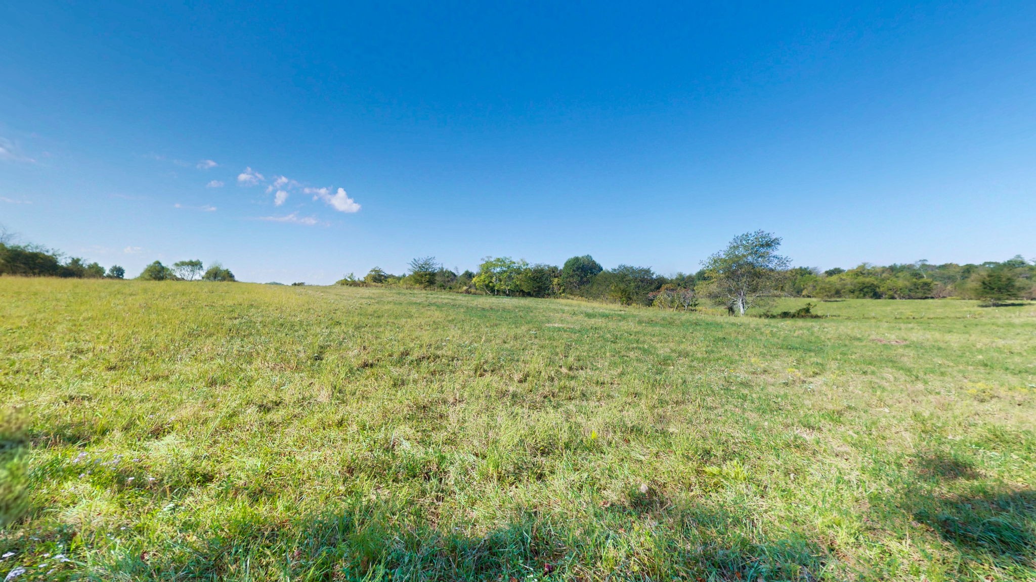 0 Old Paris Murray Rd Property Photo 8