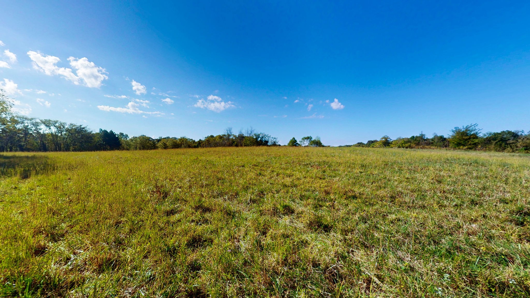 0 Old Paris Murray Rd Property Photo 9