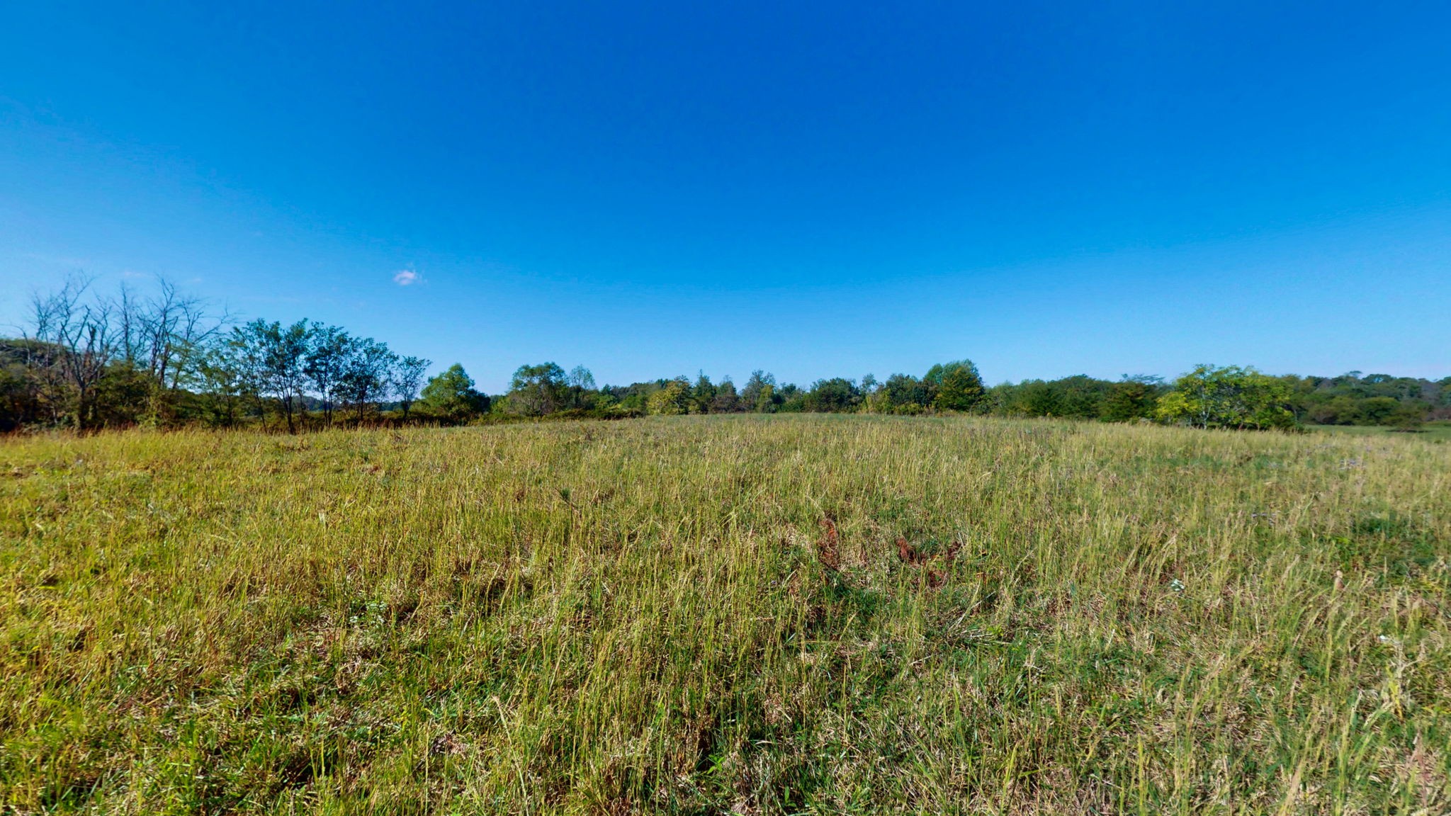 0 Old Paris Murray Rd Property Photo 11