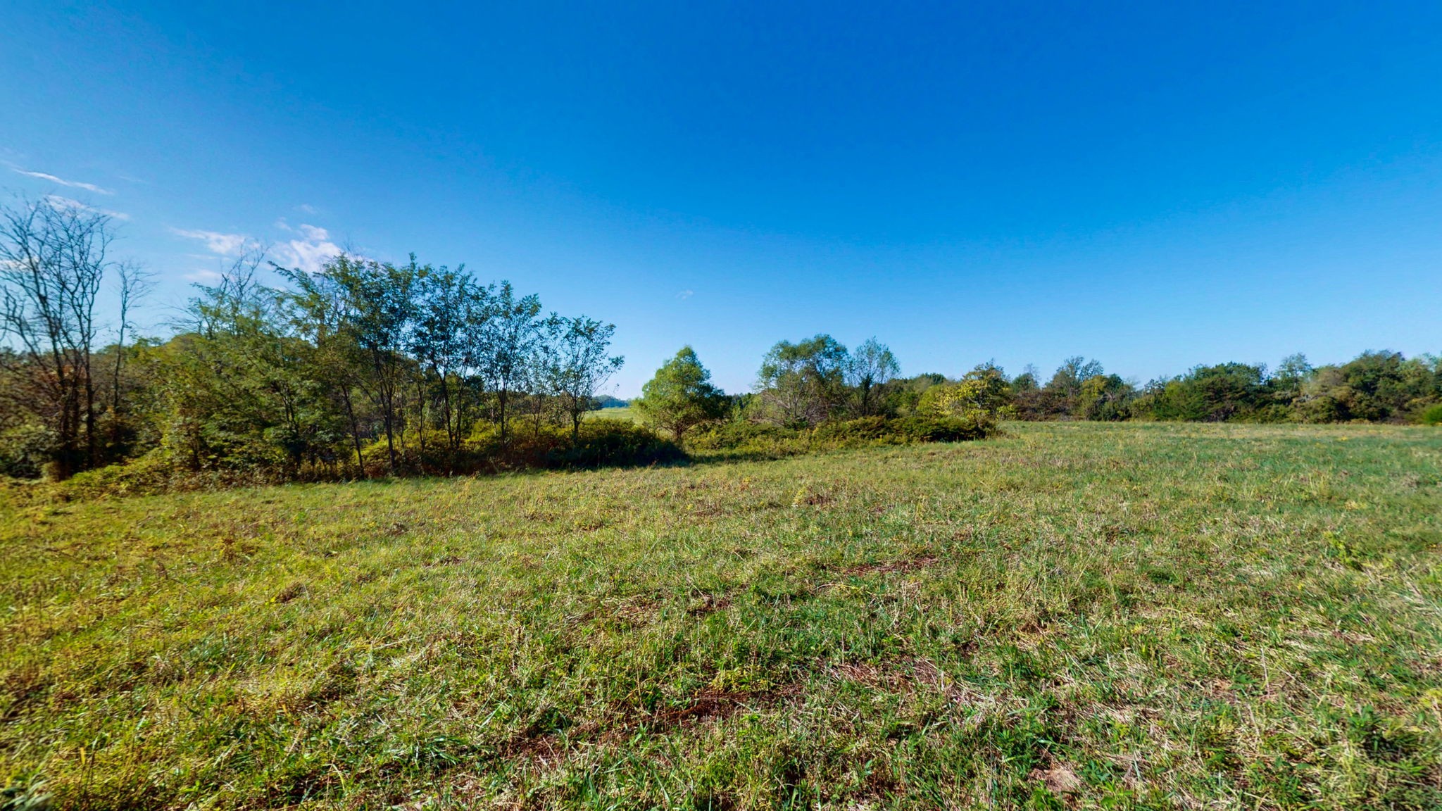 0 Old Paris Murray Rd Property Photo 12