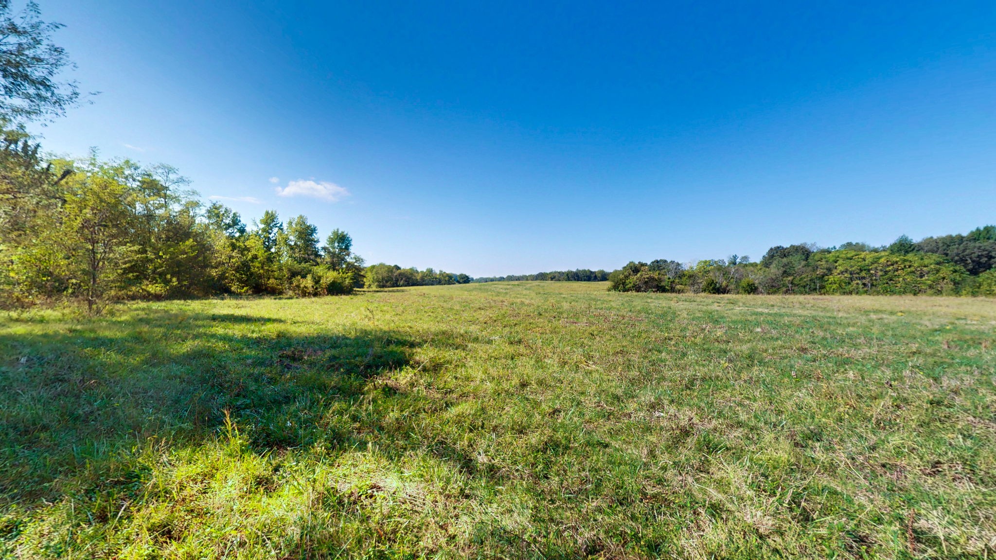 0 Old Paris Murray Rd Property Photo 15