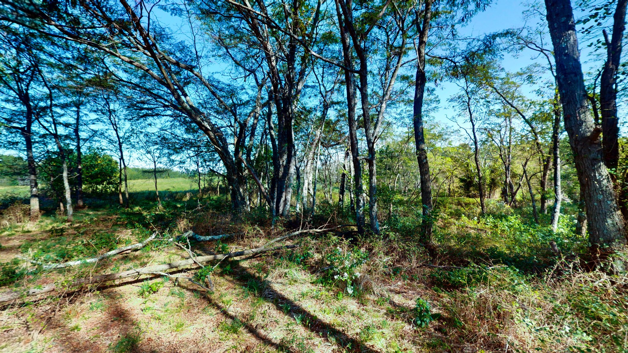 0 Old Paris Murray Rd Property Photo 17