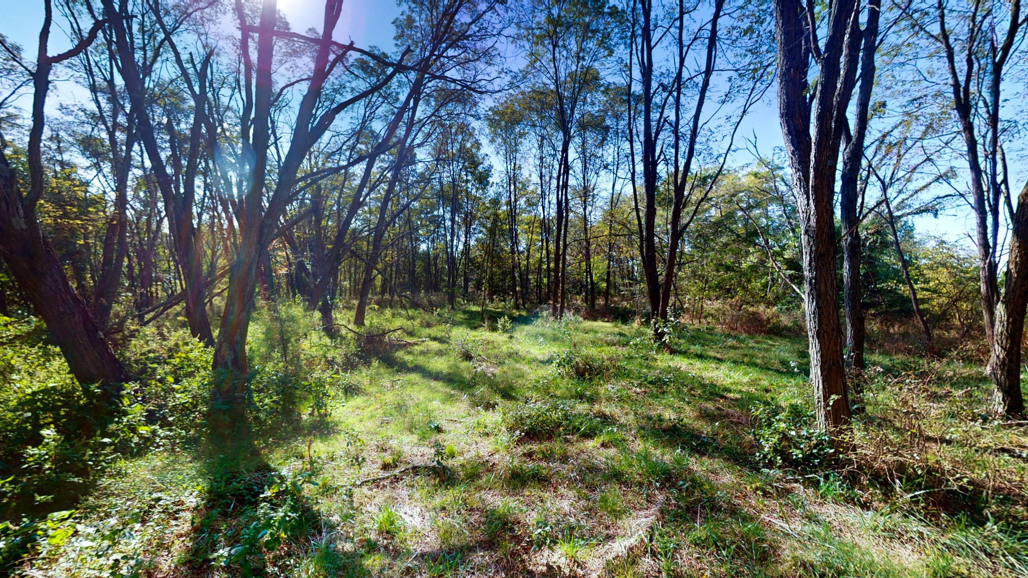 0 Old Paris Murray Rd Property Photo 18