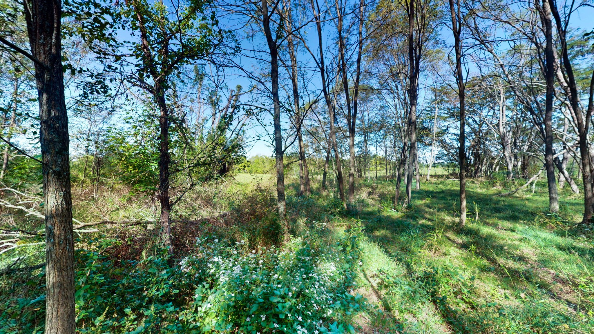 0 Old Paris Murray Rd Property Photo 19