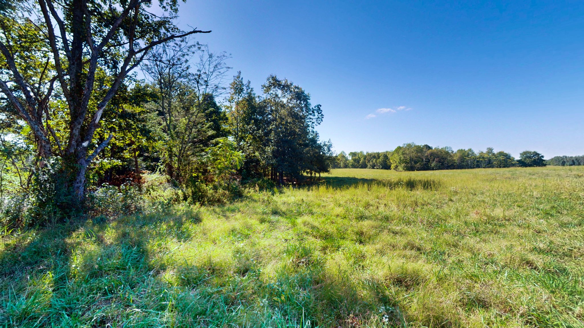 0 Old Paris Murray Rd Property Photo 20