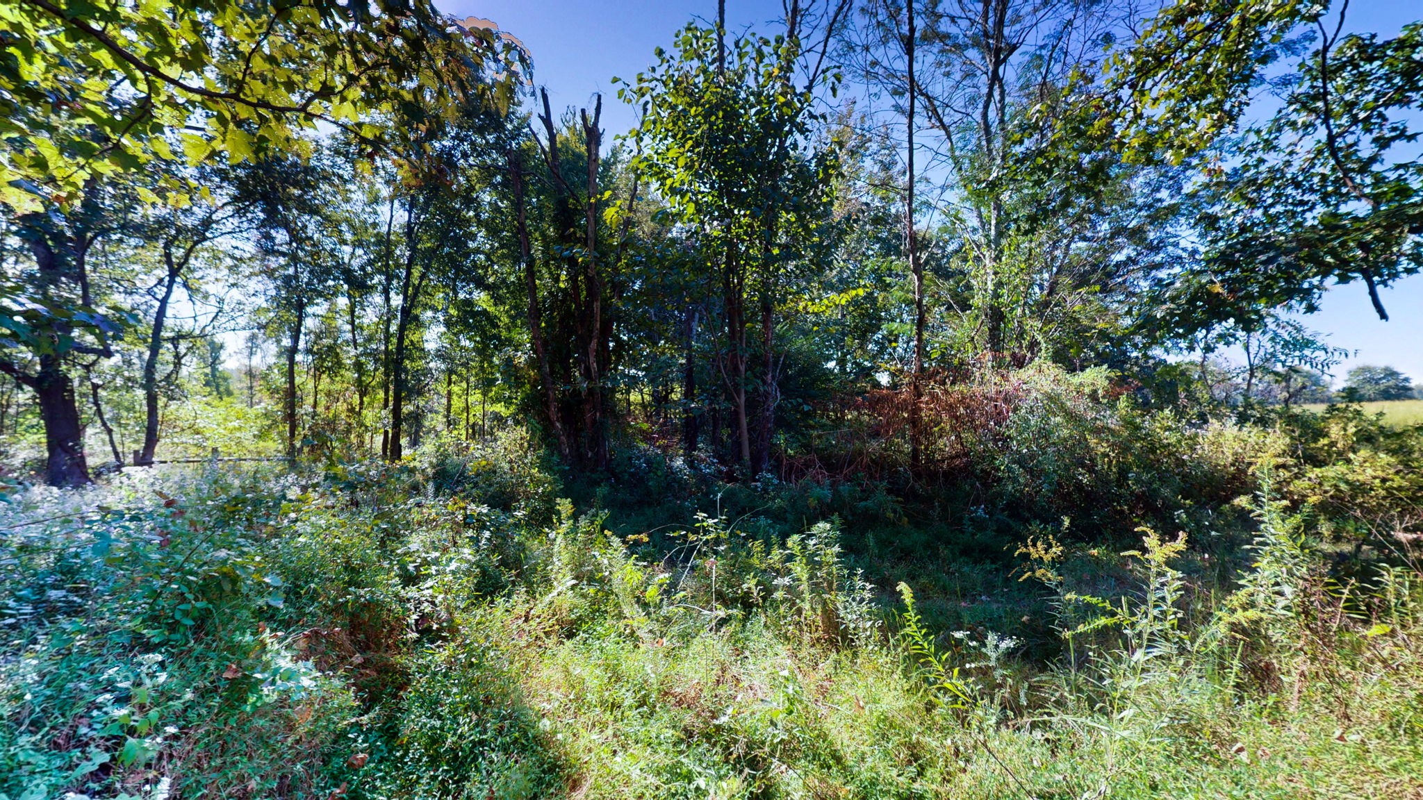 0 Old Paris Murray Rd Property Photo 21