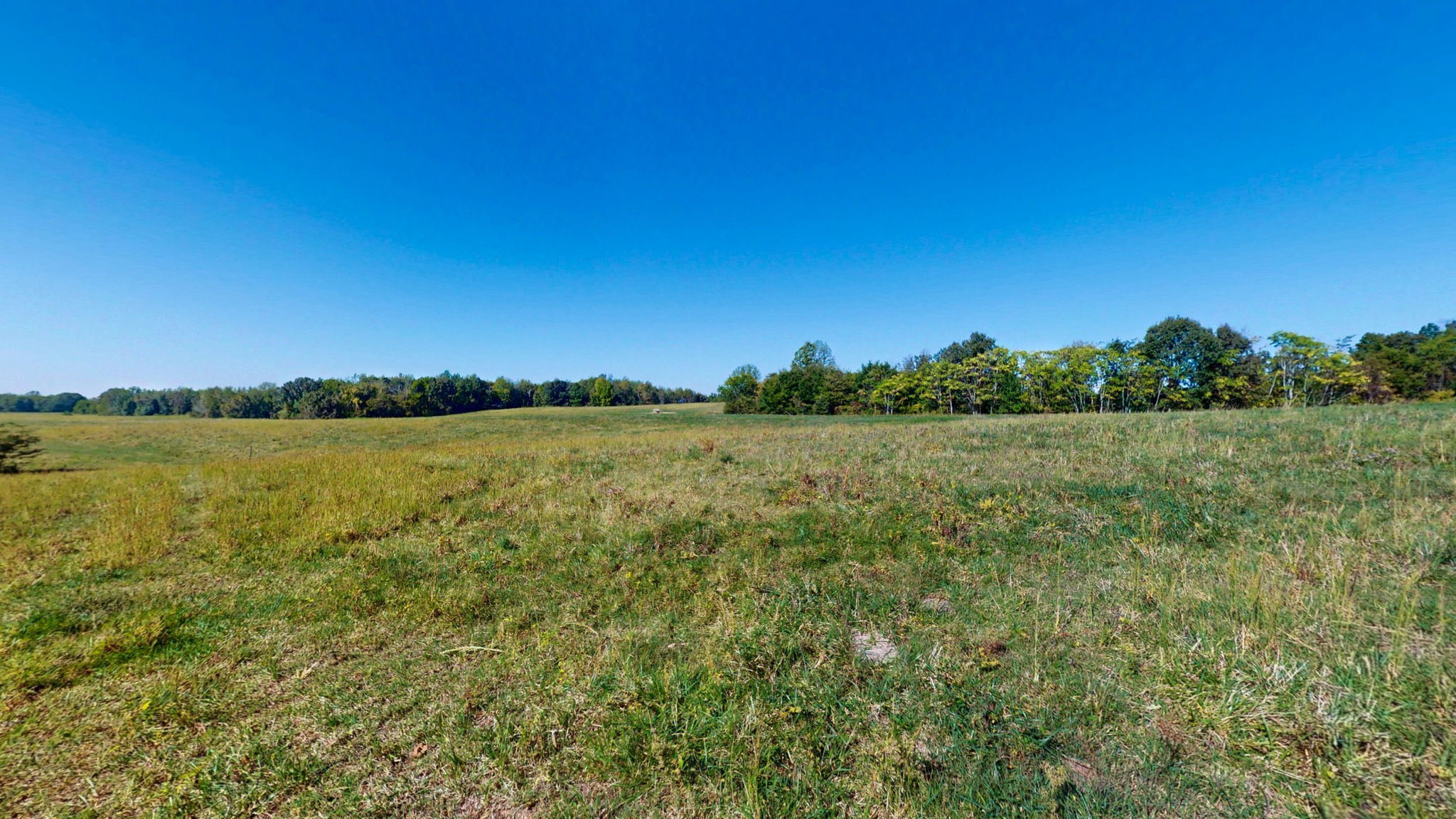 0 Old Paris Murray Rd Property Photo 23