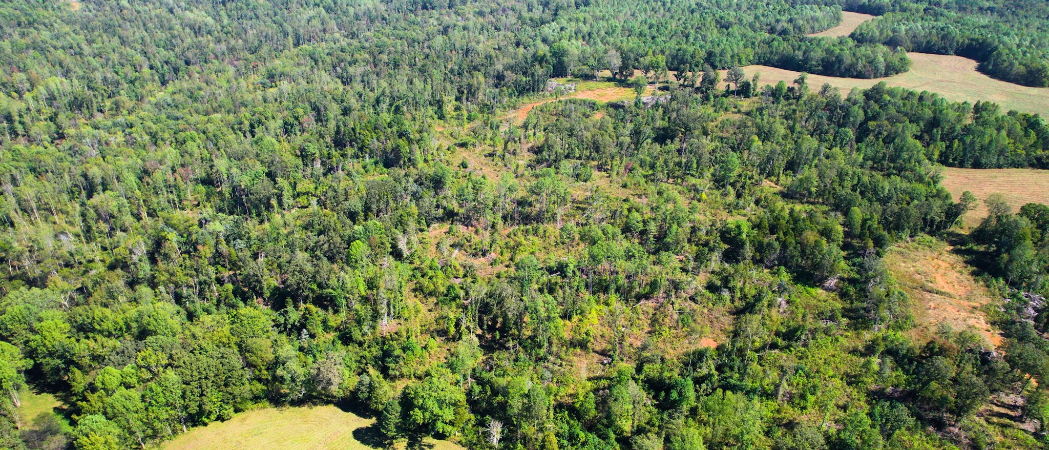 0 Old Paris Murray Rd Property Photo 28