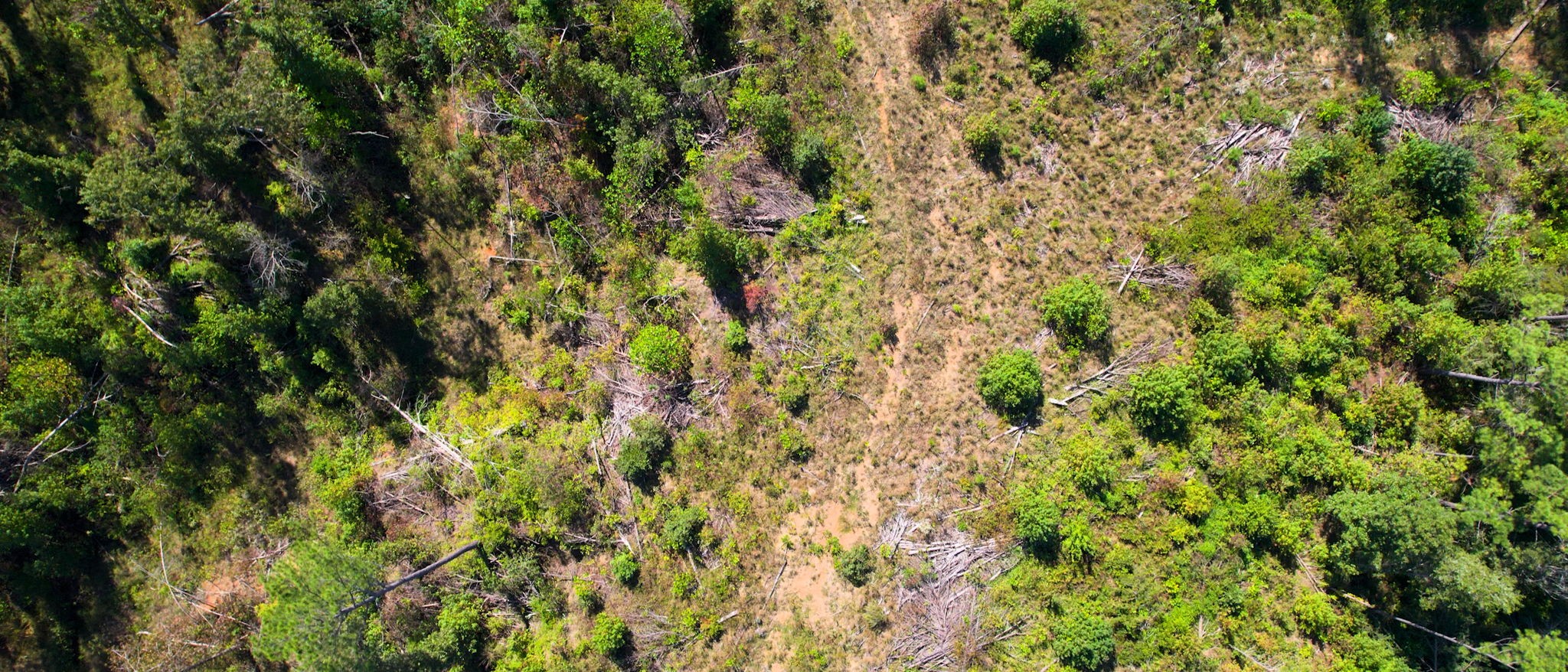 0 Old Paris Murray Rd Property Photo 29