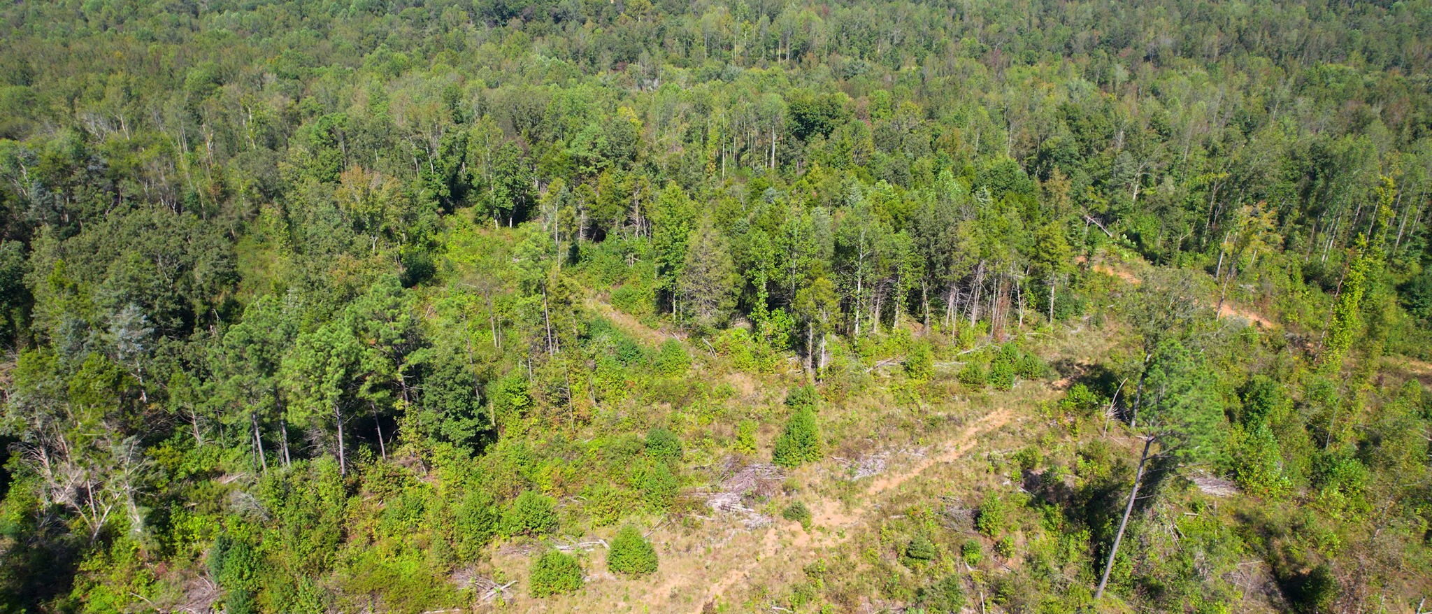 0 Old Paris Murray Rd Property Photo 30